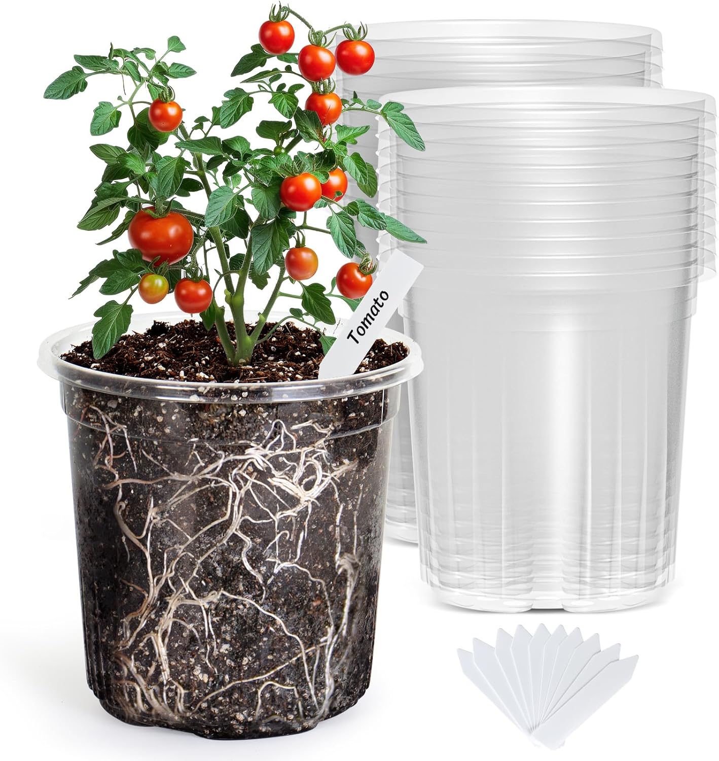 Bonviee 20 Packs 6.7 Inch Clear Nursery Pots, 1 Gallon Plastic Seedling Pots with Drainage Holes, Planters for Indoor Plants and Small Seed Starters, High Transparency Flower Pots with 10 Plant Labels