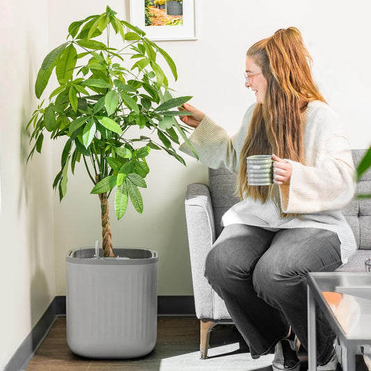 Vego garden Self Watering Pots Home Planters with Water Gauge for Effortless Indoor Plants Fog Gray