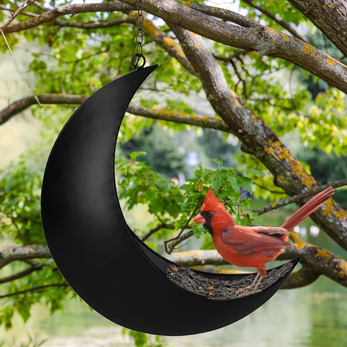Hanging Moon Bird Feeder – Unique Metal Bird Feeders for Outdoors, Black Rust-Resistant, Drain Holes – Wild Bird Feeder for Bluebirds, Cardinals, Finches, and Backyard Birdwatching (Black)