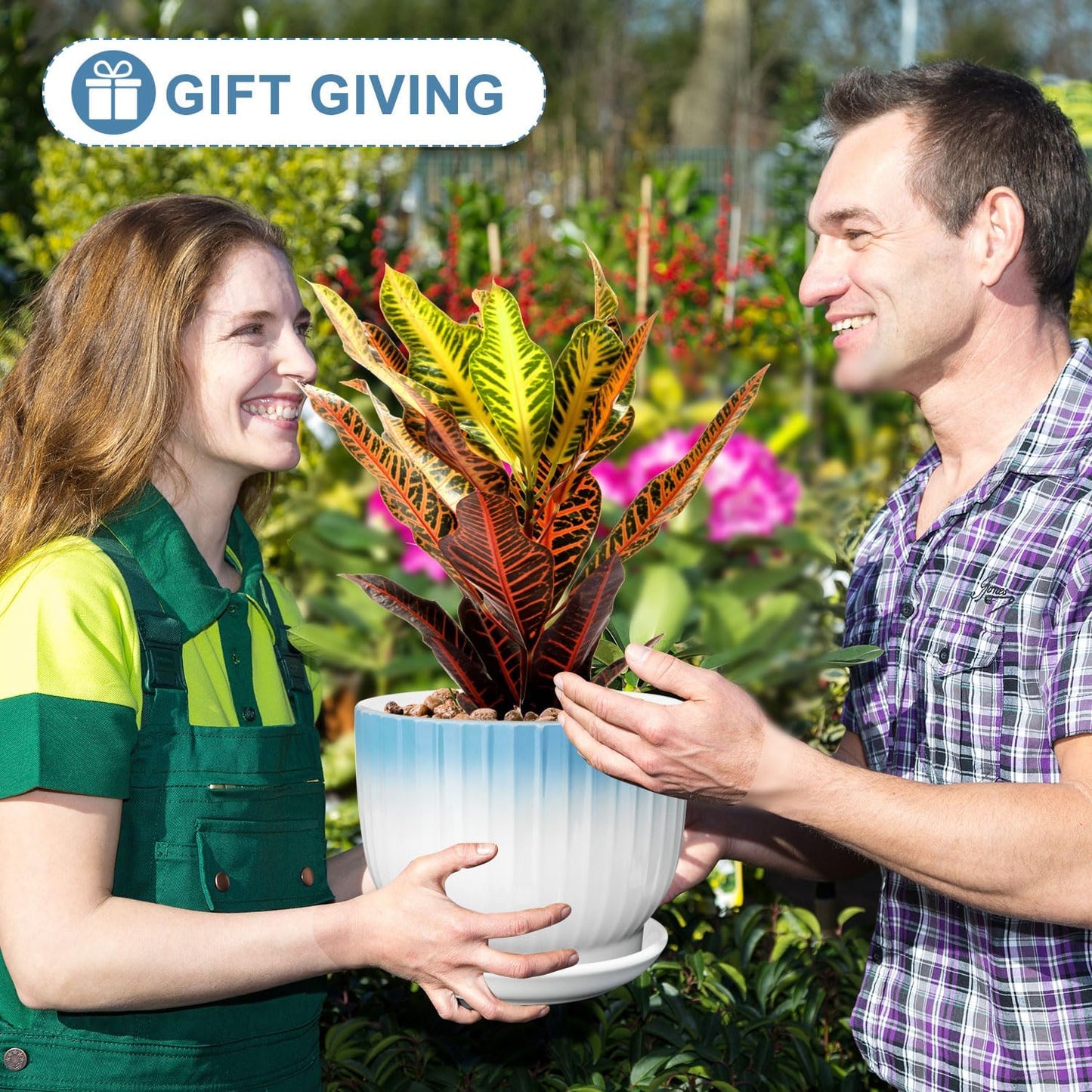 8 Inch Plant Pot, Ceramic Planter with Drainage and Saucer, Ceramic Pots for Plants, Indoor Plant pots,Ceramic Flower pots(Blue + White, Plants NOT Included)