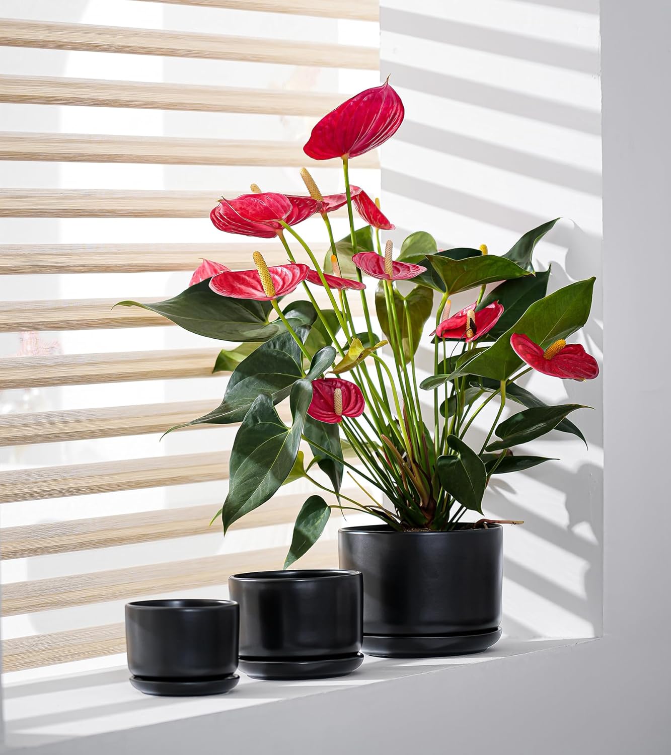 Ton Sin Plant Pots, 4.1+5.1+6.5 inch, Set of 3, Ceramic Planters with Drainage Hole and Saucer, Indoor Flower Pot with Hole Mesh Pad, Gifts for Mom（Matte Black）