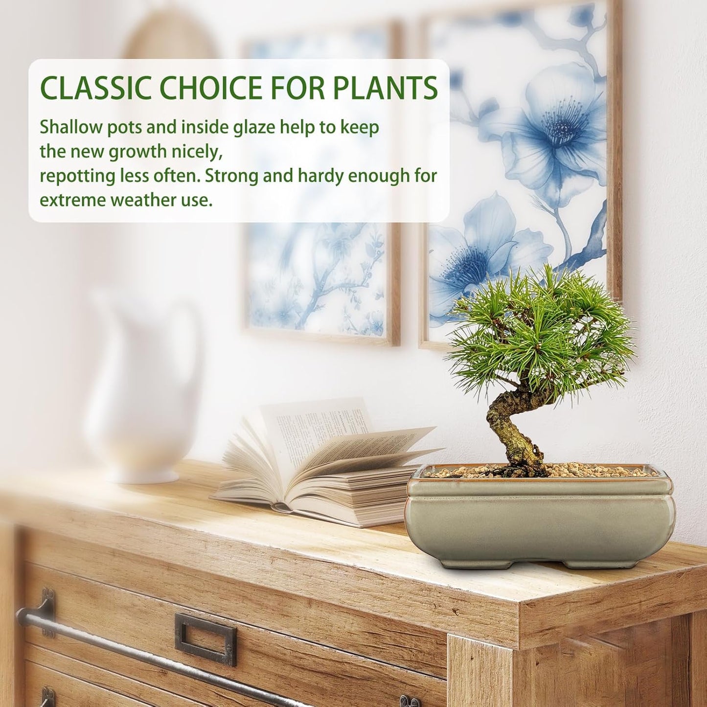 Ceramic Bonsai Pots with Drainage Hole, Set of 2 Rectangular Glazed Bonsai Planters for Indoor/Outdoor Use, Shallow Brown Bonzai Tree Pots for Succulent, Orchids, Cacti, Home, Patio, Garden, 8.7"x5.9"