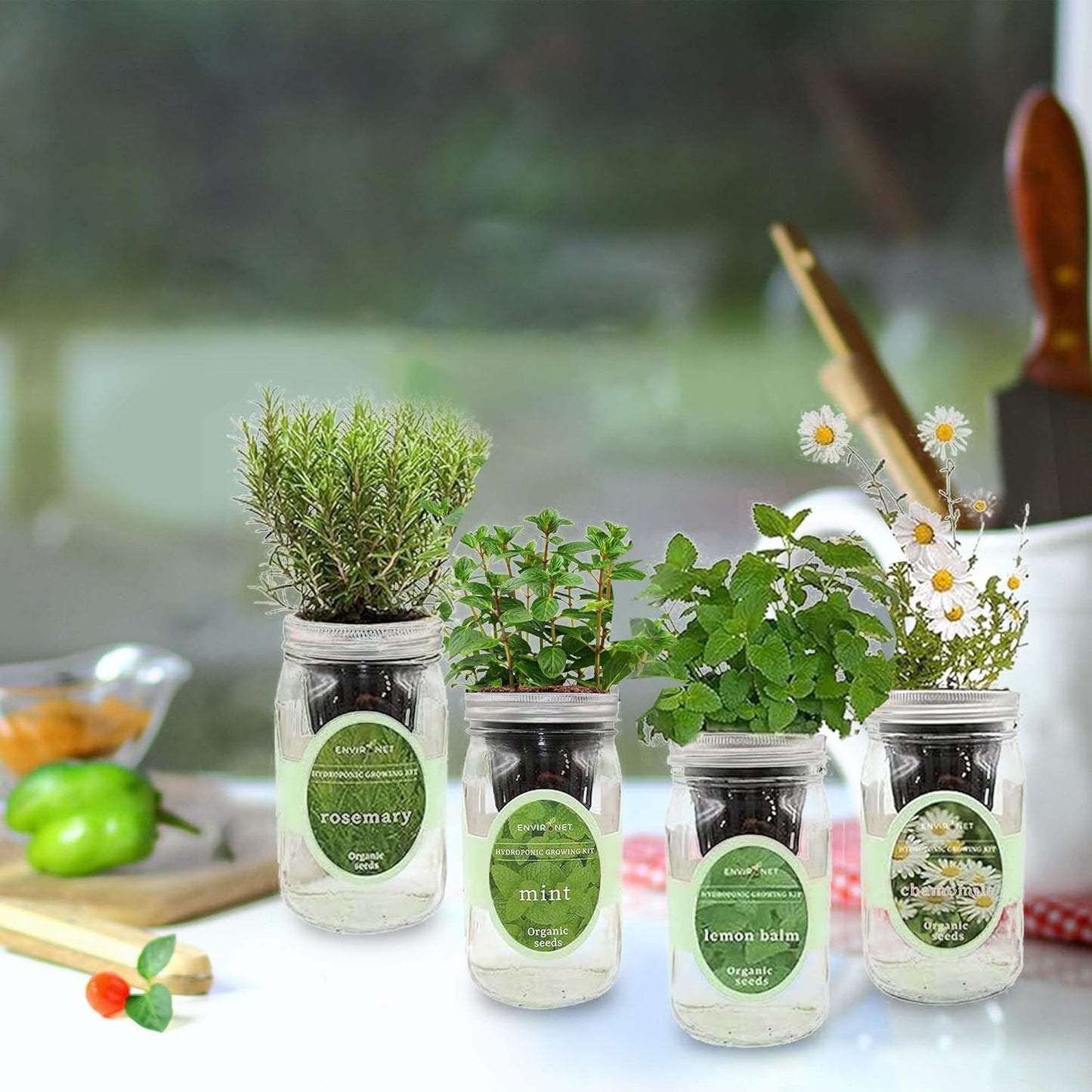 Hydroponic Mason Jar Organic Herbal Tea Seed Starter Kits - Herbal Tea Garden Growing Kits, Gardening Gift, Grow Your Own Herbal Teas Indoor (Chamomile, Mint, Lemon Balm, Rosemary)