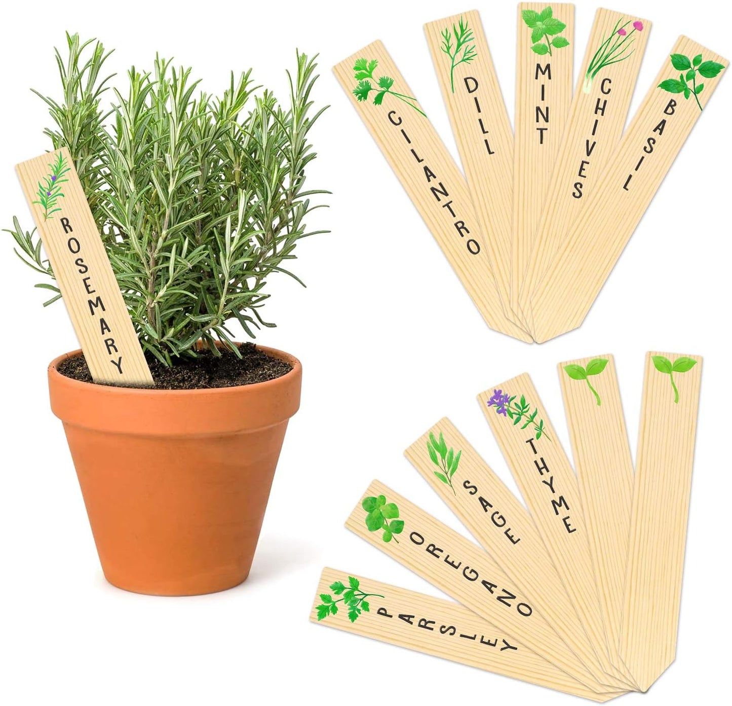 Huray Rayho 12PCS Wooden Indoor Herb Plant Labels Signs - Assorted Indoor Garden Stakes - Re-Usable Plant Tags