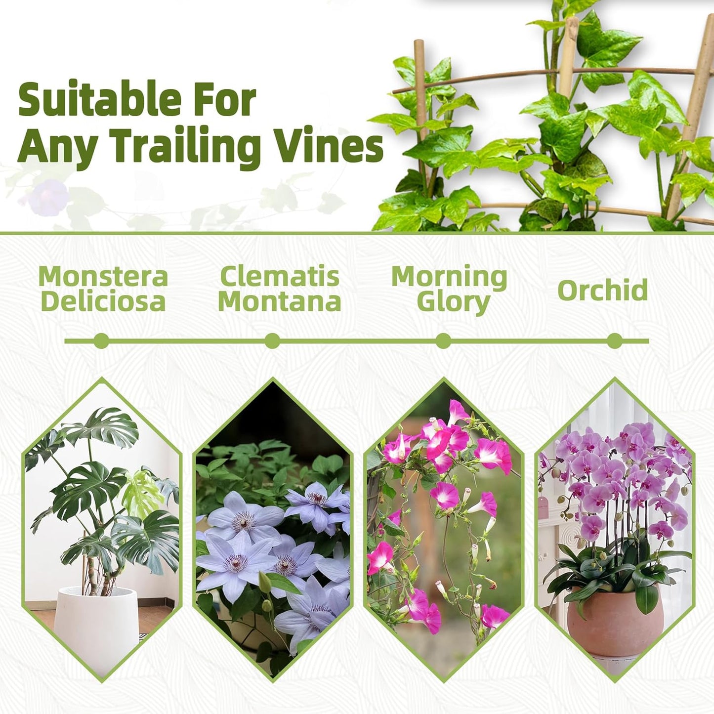 20 Pack 16" Bamboo Trellis for Climbing Plants-Natural Garden Ladder Fan -Shaped Plants Support Trellis for Potted Plant Decor in Door