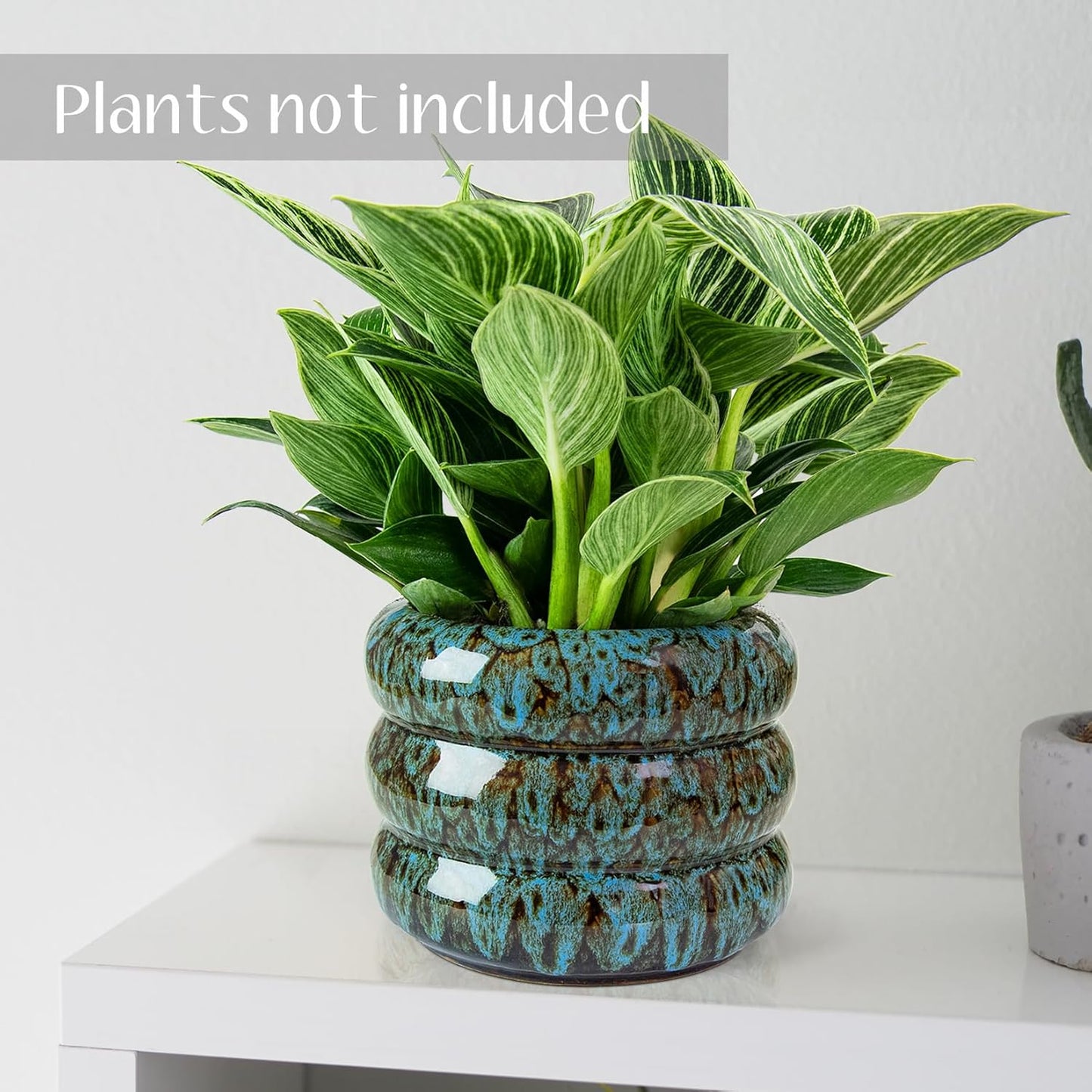 Ceramic 6 inch Plant Pot - Planter for Indoor Plants with Drainage Hole, Flower Pots for Orchid, Succulent,Outdoor Plants, Modern Glaze Planters for Home Office Decor Gift