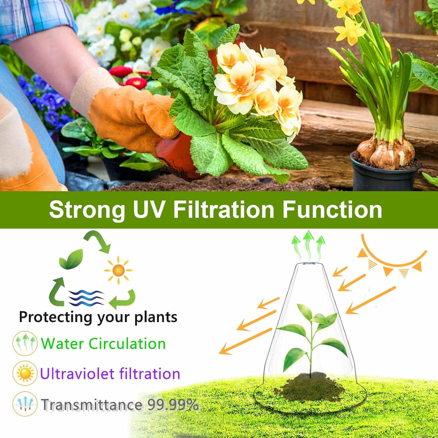 【36 Pieces】 Garden Cloches for Plants, Plant Cover Plant Protectors Transparent Bell Jar Cloche Protection Plants from Birds, Animals, Frost, Freeze Weather,7.8" D x 9.4" H, Transparent