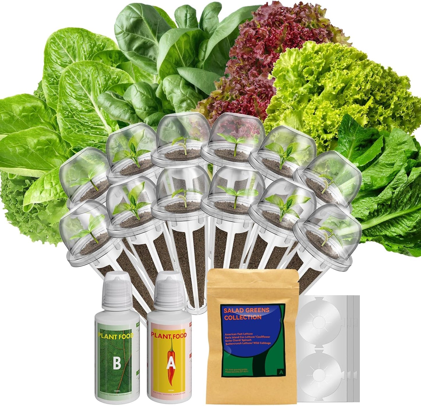 inbloom 12-Pod Salad Greens Seed Pod Kit for AeroGarden, Ahopegarden, Hydroponic Garden with Spinach, Buttercrunch, Paris & American Lettuce, Swiss Chard, Wild Cabbage