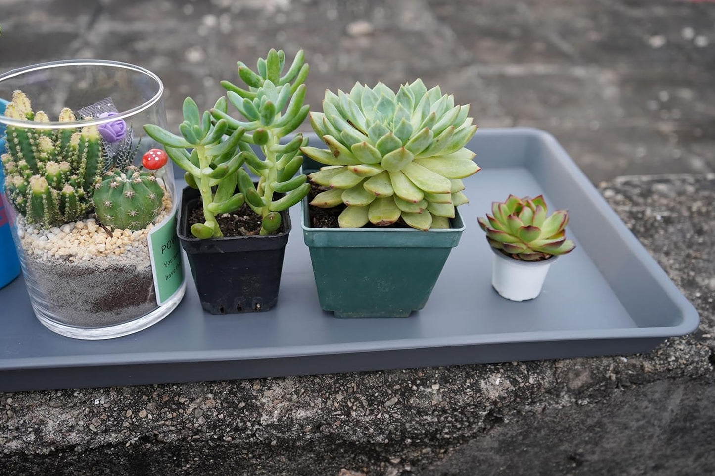 4 Pack Plant Saucer Tray Rectangular, Plant Saucers for Indoors, Heavy Sturdy Plastic Plant Drainage Trays, Plant Drip Trays for Pots, Seed Starter Growing Tray (11 x 9 inch, Gray)