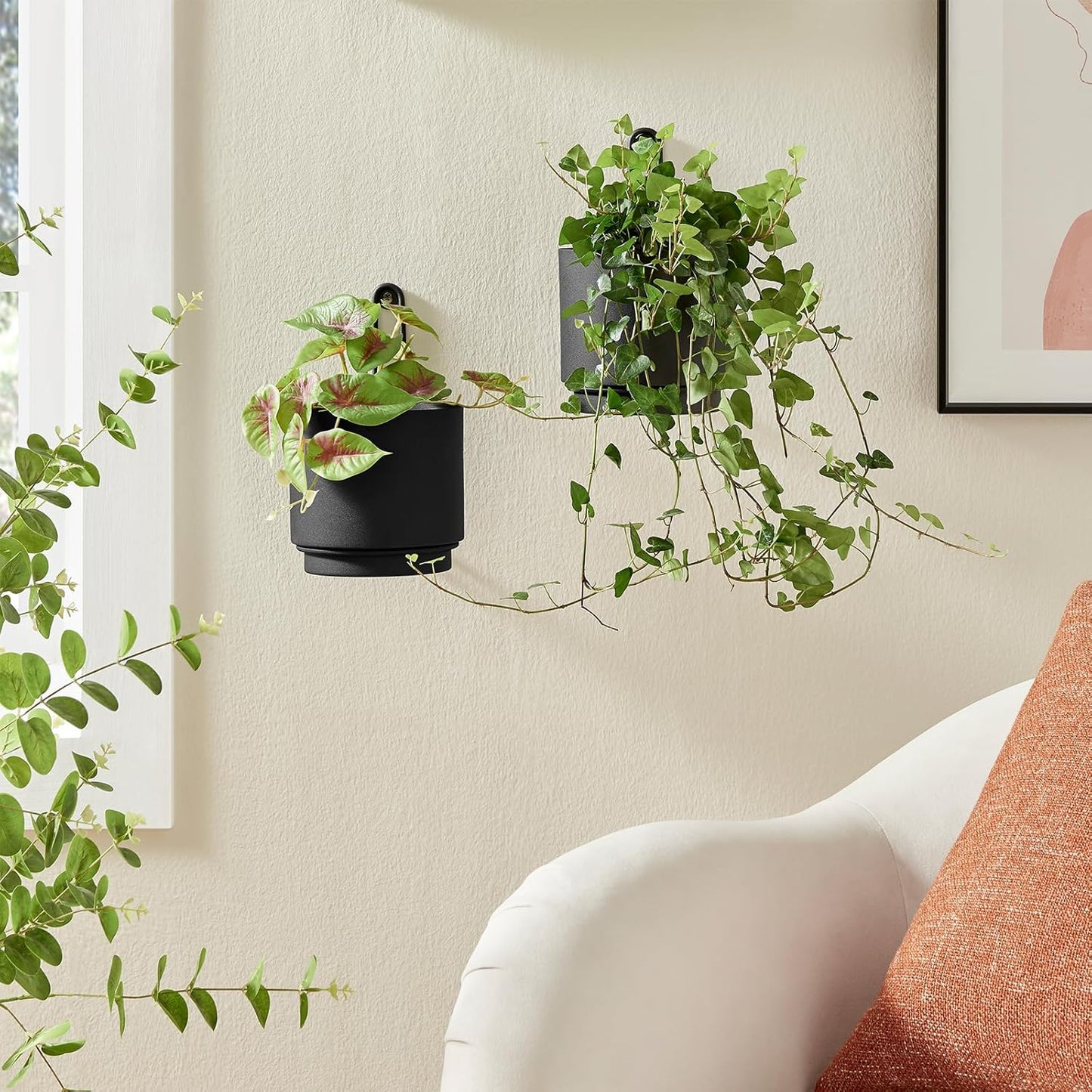 2 Pcs Wall Mounted Hanging Planter Vase for Indoor and Outdoor Plants Modern Metal Wall and Ceiling Planter Minimalist Flower Pot (Black, 5.91 inch)