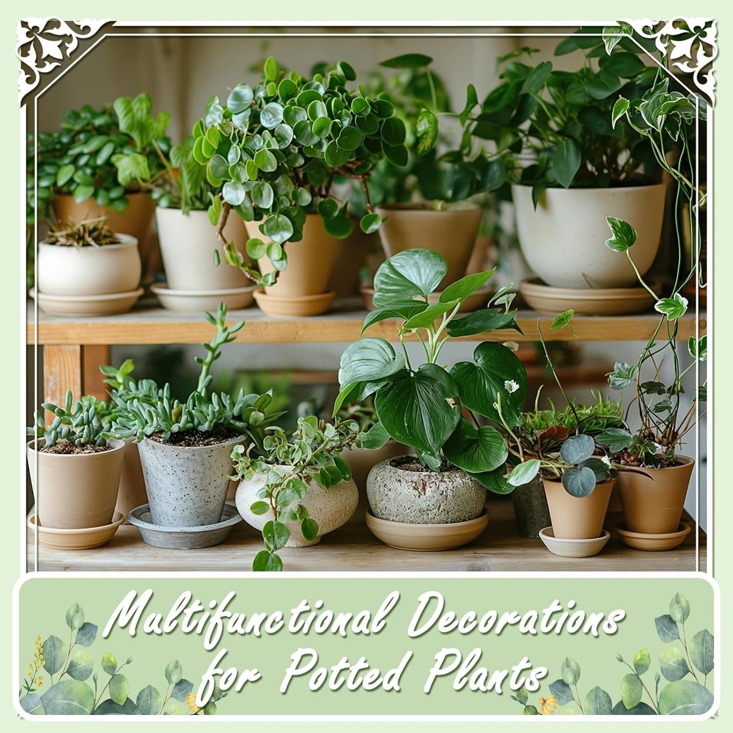 5lbs Natural River Rocks, Polished Pebbles for Plants Garden, 0.3-0.8 inch Decorative Countryside Stones, Ideal for Fish Tank, Vases, Home Decor and Garden Landscaping,Countryside