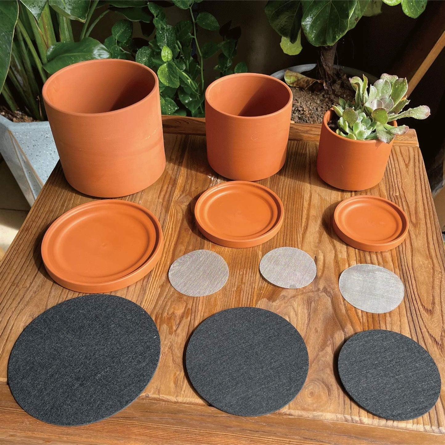 D'vine Dev Terracotta Pots for Plants, 4.2 Inch 5.3 Inch 6.5 Inch, Succulent Planter Pot with Drainage and Saucer, 40-T-A-0