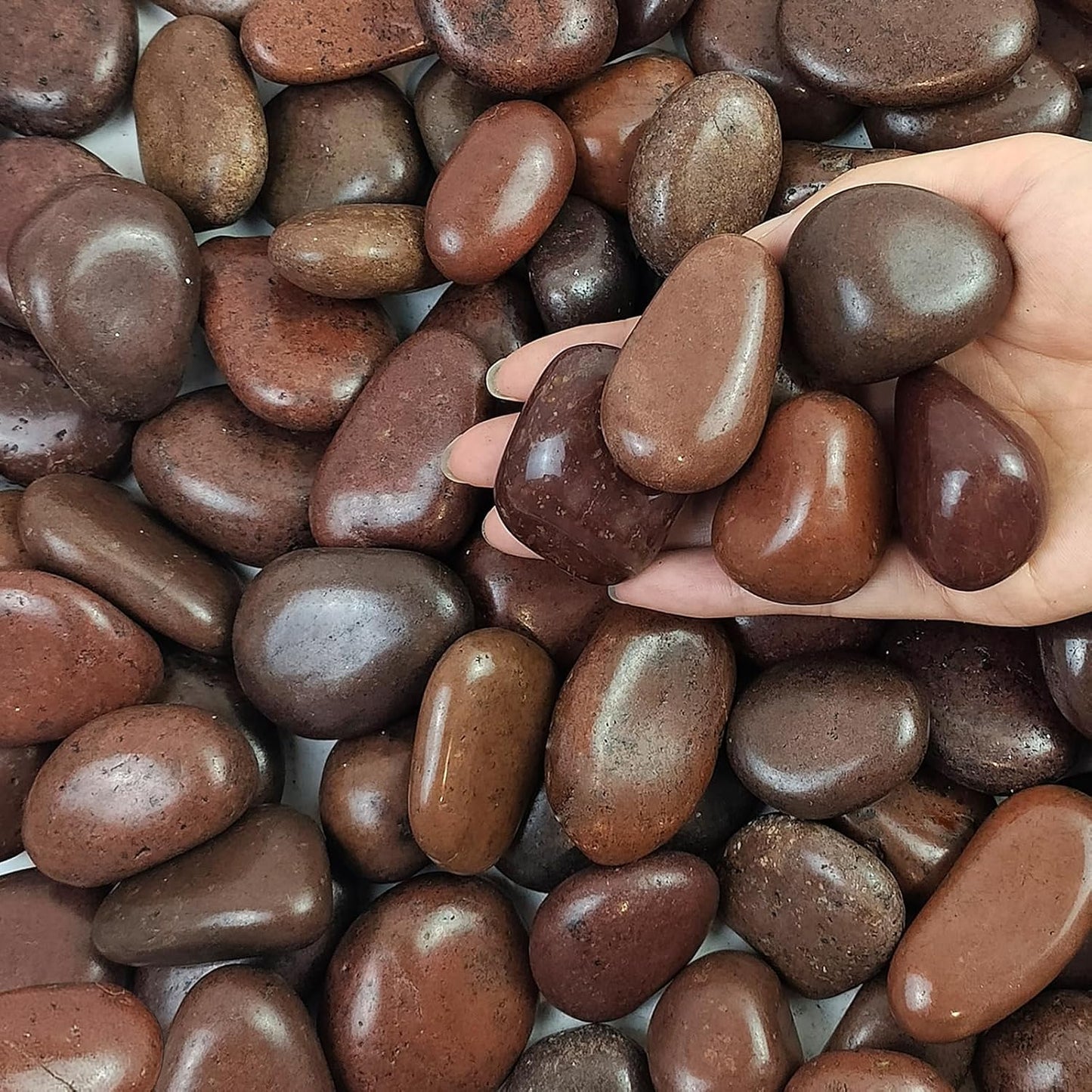 10 lbs Red River Rocks, 1-2 Inch Polished Pebbles for Indoor Plants, Decorative Rocks Stones for Landscaping, Vases, Aquariums, Fountains, Pathways, Backyard and Garden