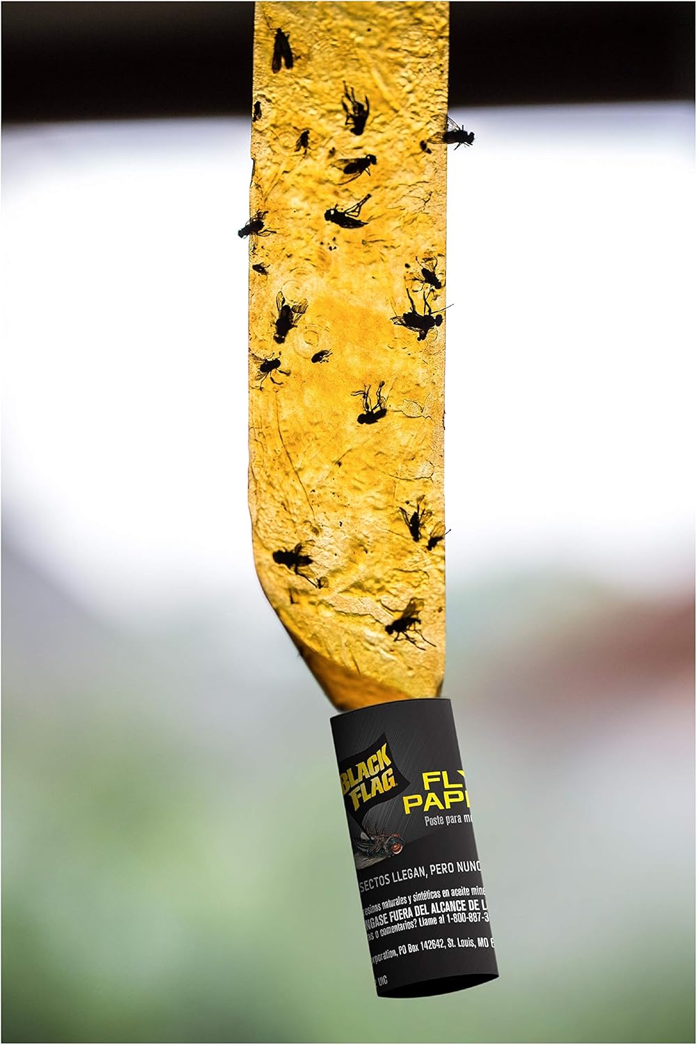 Black Flag Fly Paper, Insect Trap, Catches All Flying Insects 4 Traps