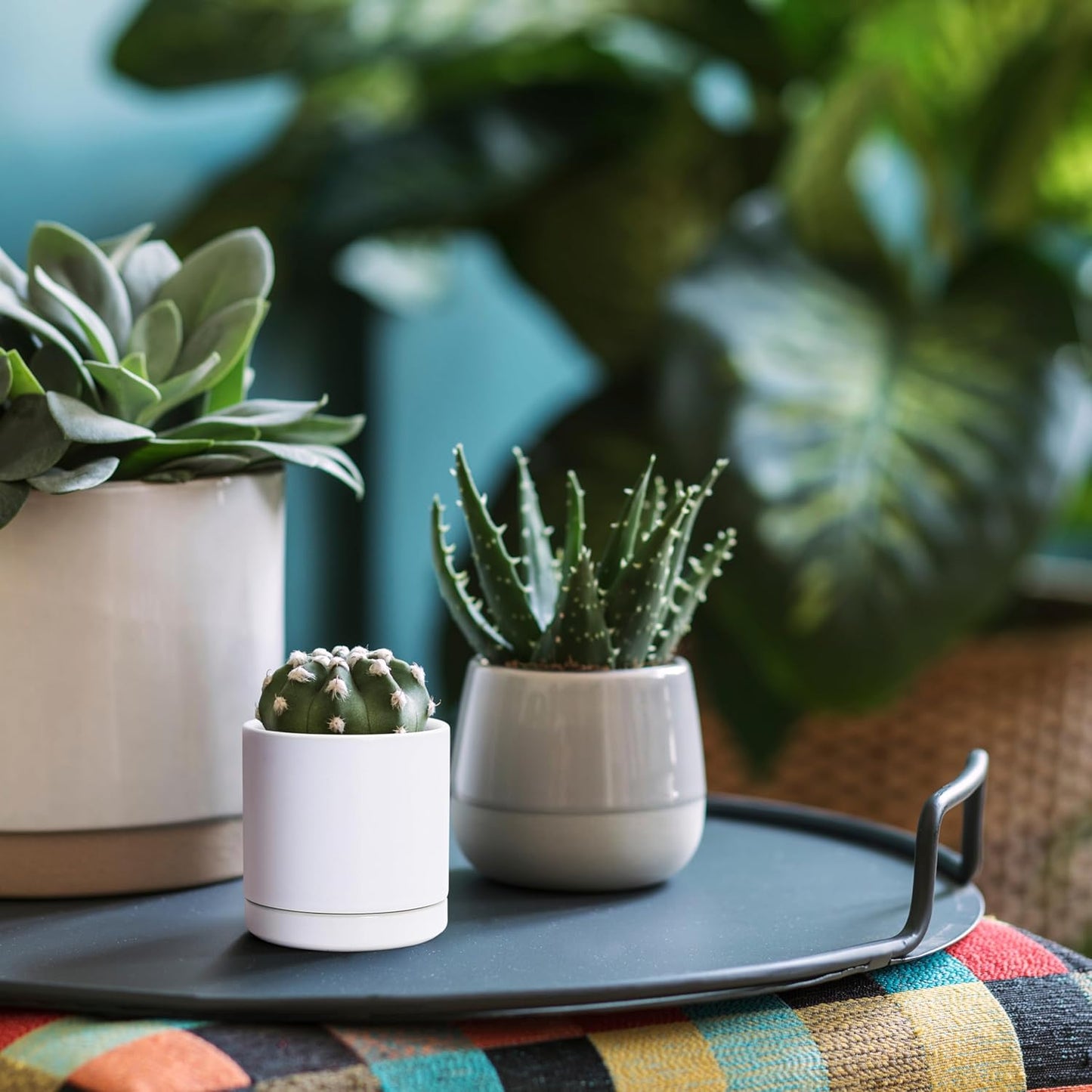 D'vine Dev 3.5 Inch Ceramic Planter Pot with Drainage Hole and Saucer, Indoor Cylinder Round Planter Pot, White, 94-O-A-1