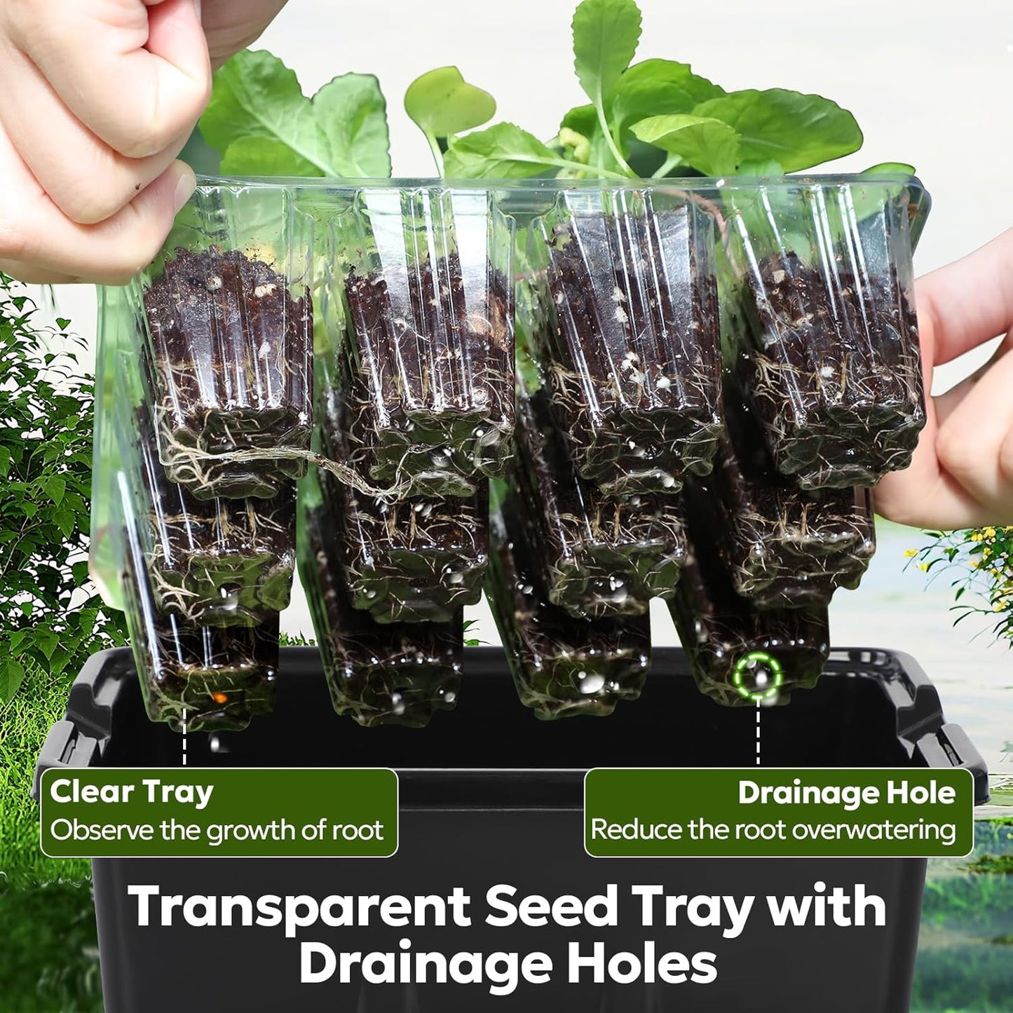 MIXC Seed Starter Kit with Grow Light, Elevated Seedling Tray Kit with Adjustable Humidity Dome and Clear Cell Tray, 12 Full Spectrum Led Beads for Seed Starting Greenhouse, 6 Pack, Black