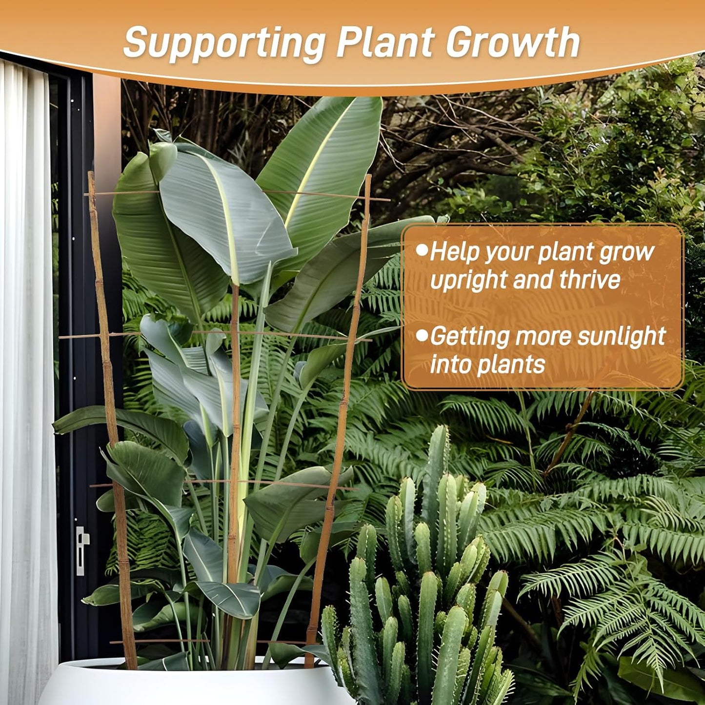 10 Pack 2ft Bamboo Trellis for Climbing Plants-Natural Garden Ladder Trellis, Fan -Shaped Support Trellis for Potted Plant Decor in Door