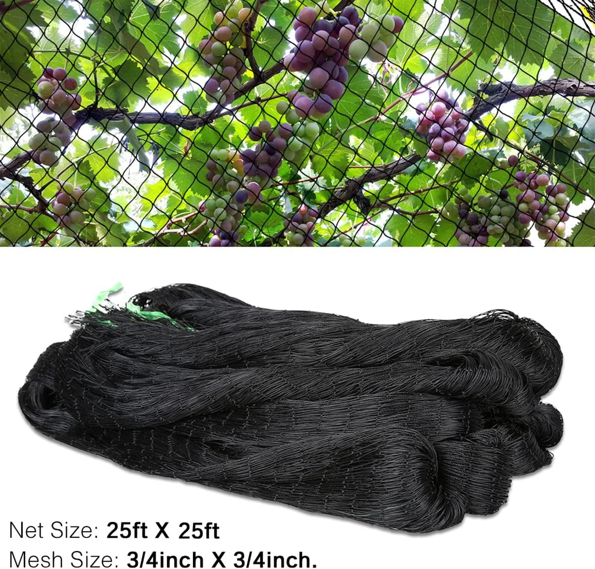 OGORI 25' x 25' Bird Netting Heavy Duty Nylon 3/4" Mesh Garden Netting Protect Fruit Trees, Plants and Vegetables