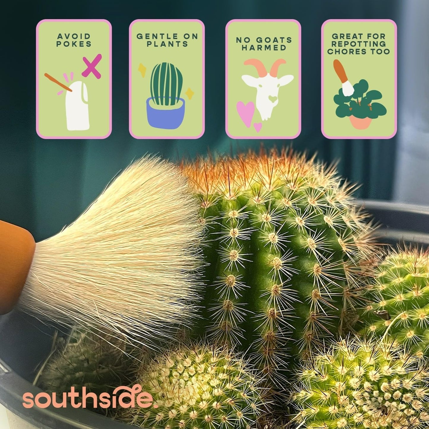Southside Plant Cactus & Succulent Plants Cleaning Brushes - Wooden Handles w/Soft Goat Hair Bristles - Garden Cleaning Tools, Gentle on Plants, 7" & 3.2" Sizes - Pack of 2