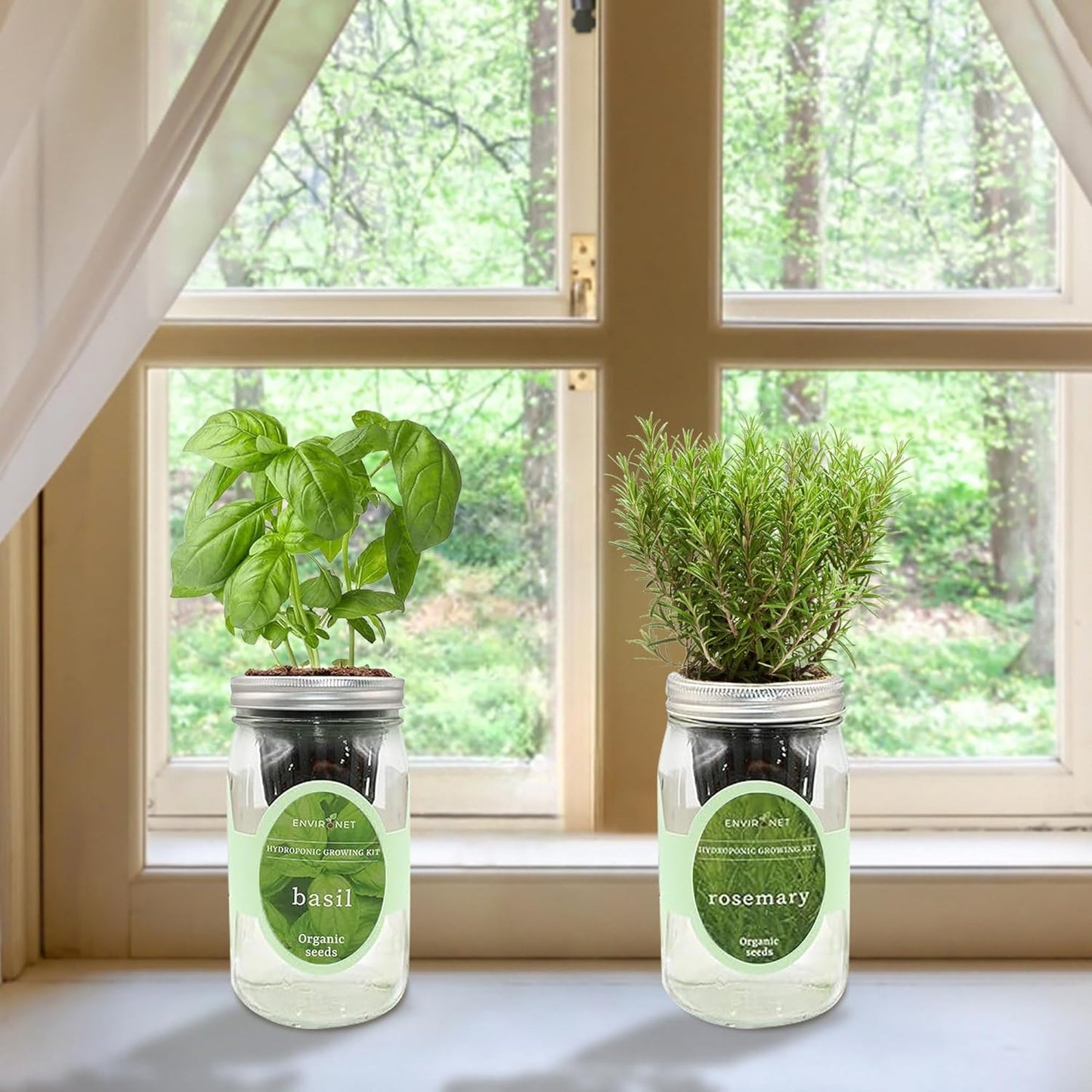 2-Pack Hydroponic Mason Jar Herb Garden Kit, Indoor Herb Garden Self-Watering Starter Kit (Basil,Rosemary)