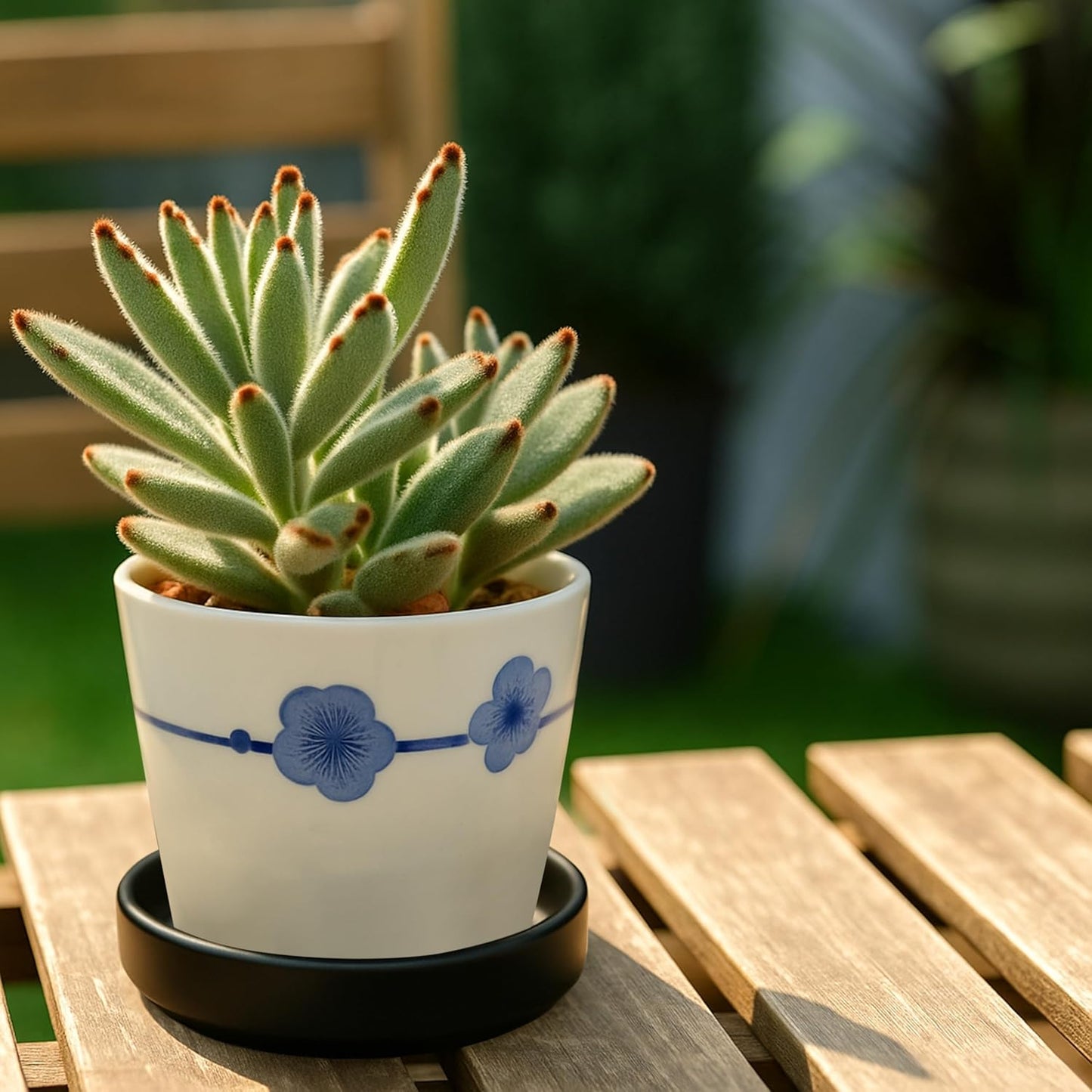 D'vine Dev Modern Round 3.7 Inch Ceramic Plant Pot Saucer, Planter Pot Drainage Tray for Indoor Plants, Set of 4, Matte Black, 97-T-B-11