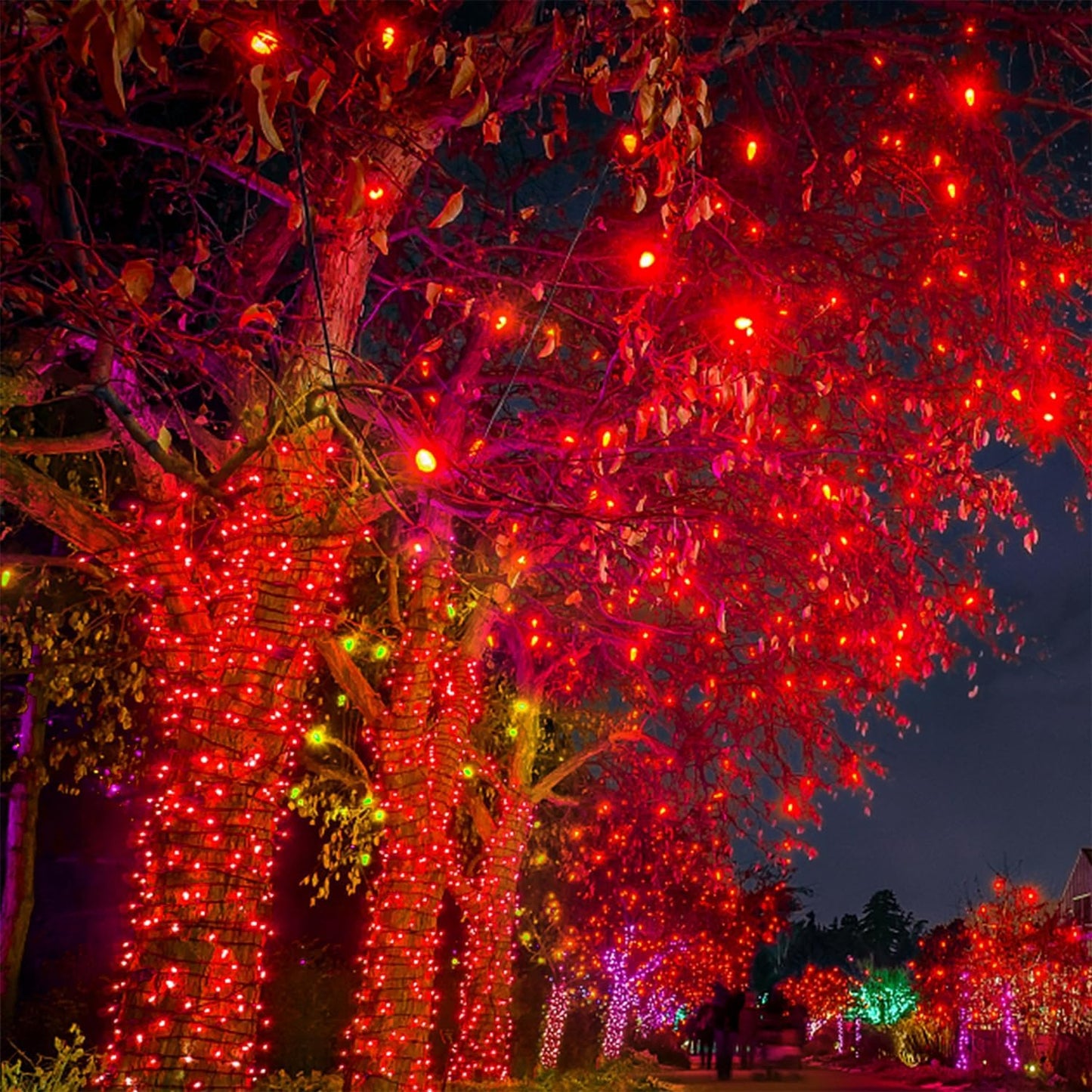 WATERGLIDE 1000 LED Christmas String Lights, 328 FT Green Wire LED Decorative Fairy Lights with Remote & 8 Modes, Waterproof for Outdoor Valentines Holiday Party Garden Wedding Home Decor, Red