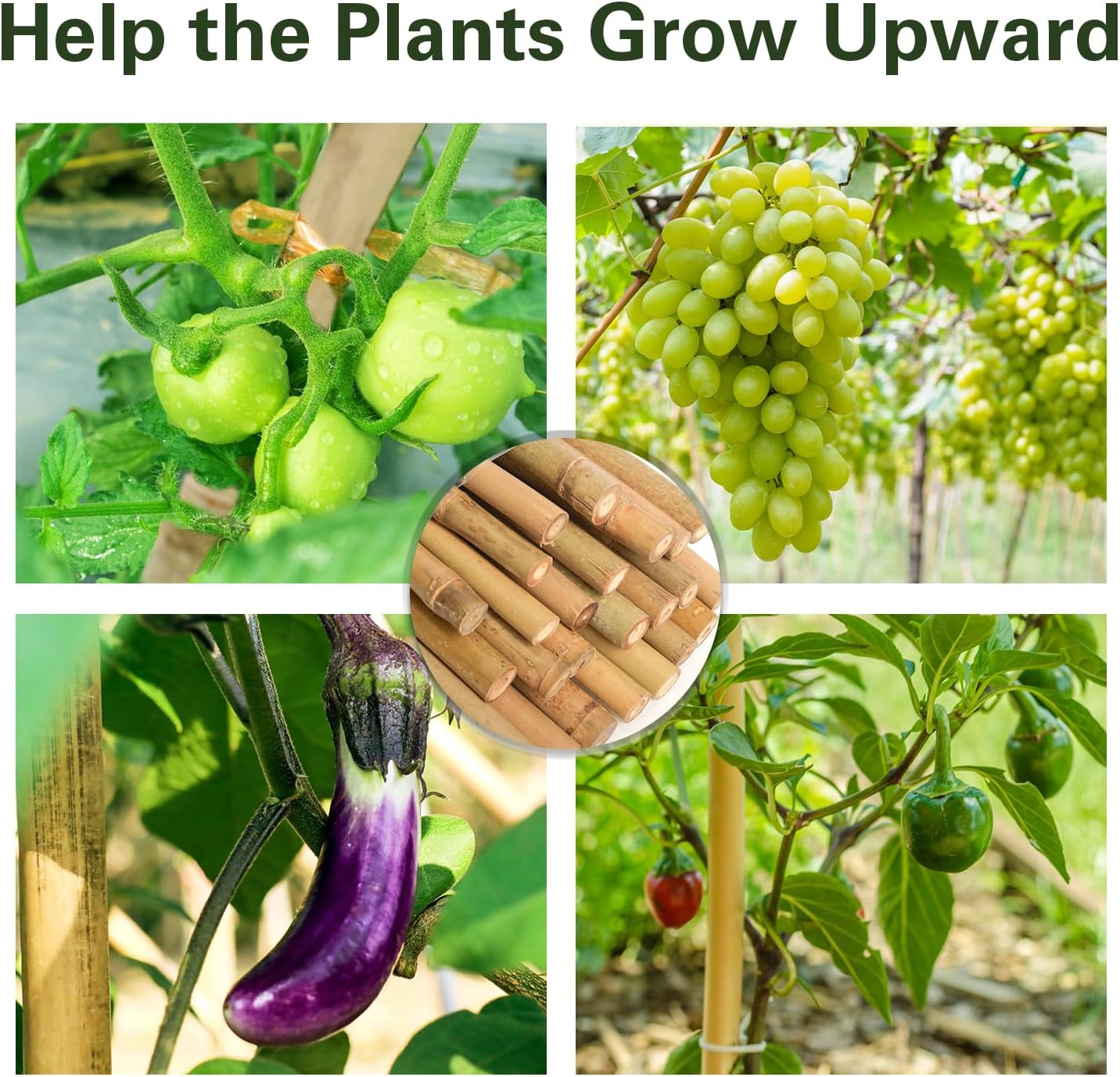 Bamboo Stakes 7 Feet, 84 inch Garden Stakes Multi-Purpose, Bamboo Plant Support Stakes for Tomatos, Beans, Cucumbers, Peppers, Potted Trees, Maintain The Plant Posture, Strengthen and Stem