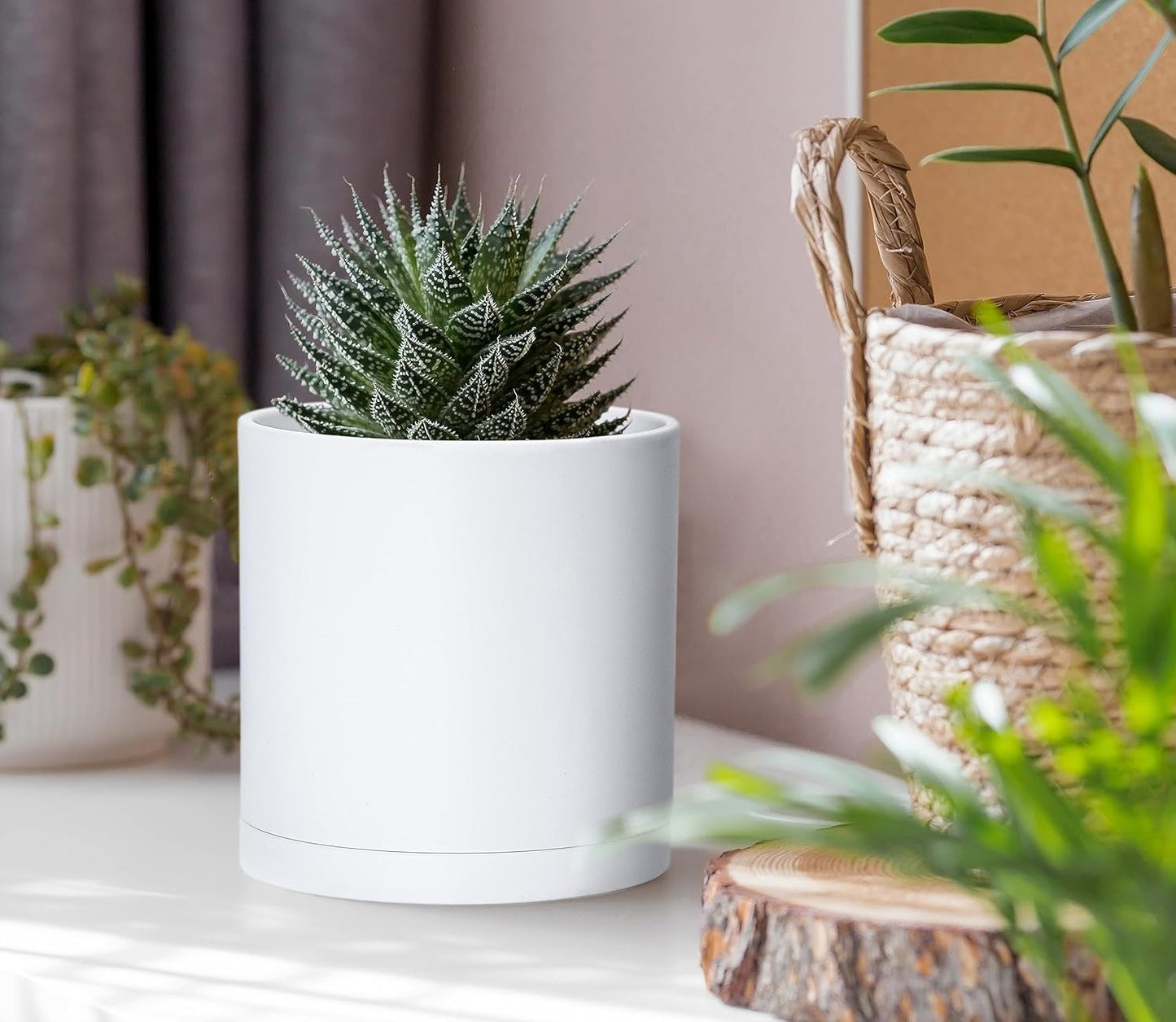 D'vine Dev 2 Pack 4 Inch Modern Plastic Plant Pots, Small Garden Planters for Plant with Drainage Holes and Saucers, White Color, 74-Z-E-1