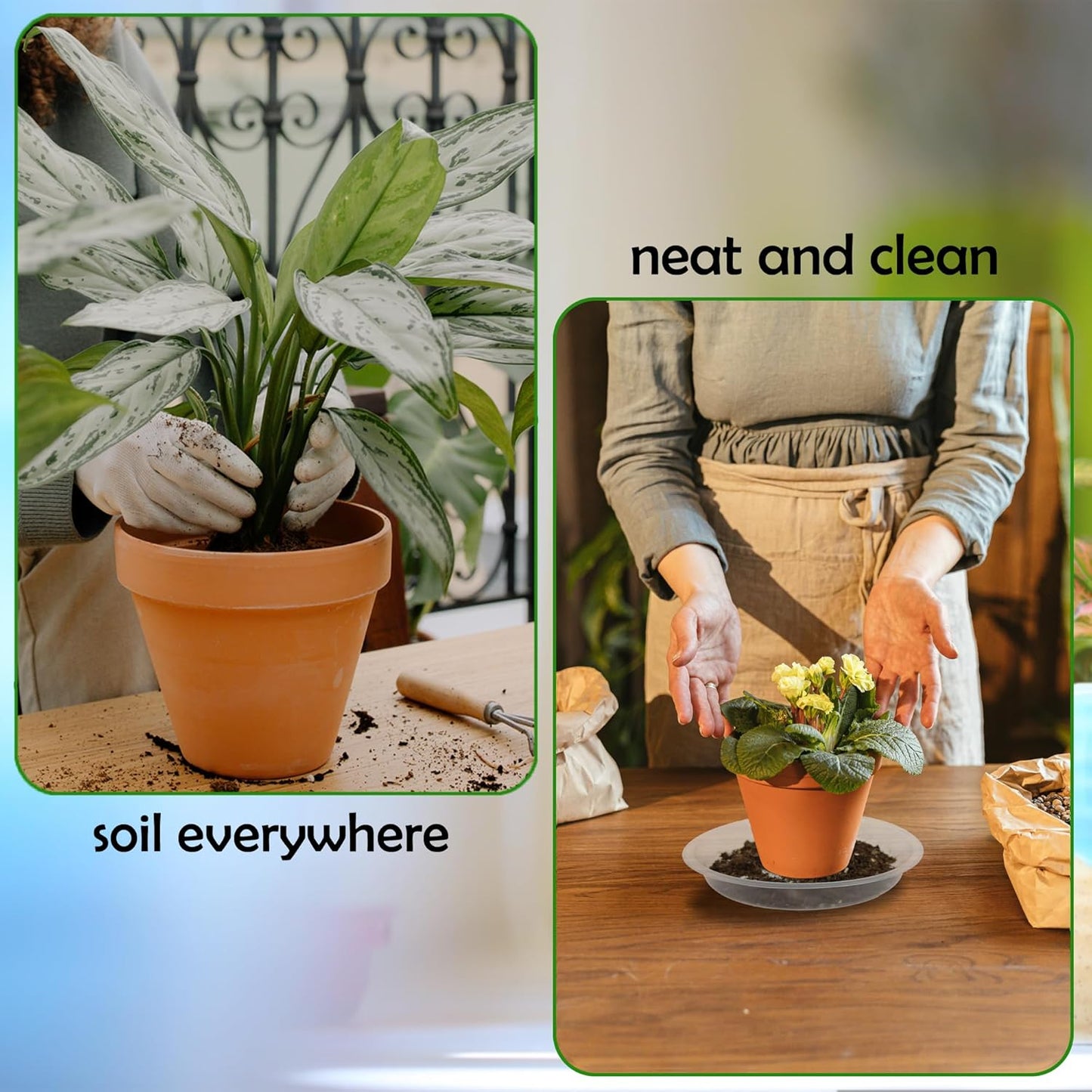 12 Pack 6 Inch Round Plant Saucers for Less 5 Inch Pot Indoors Outdoors Plant Trays for Pots Planter Saucer Plastic Plant Drip Tray Flower Planter Water Tray for Potted Plant(Clear, 6"(12pcs))