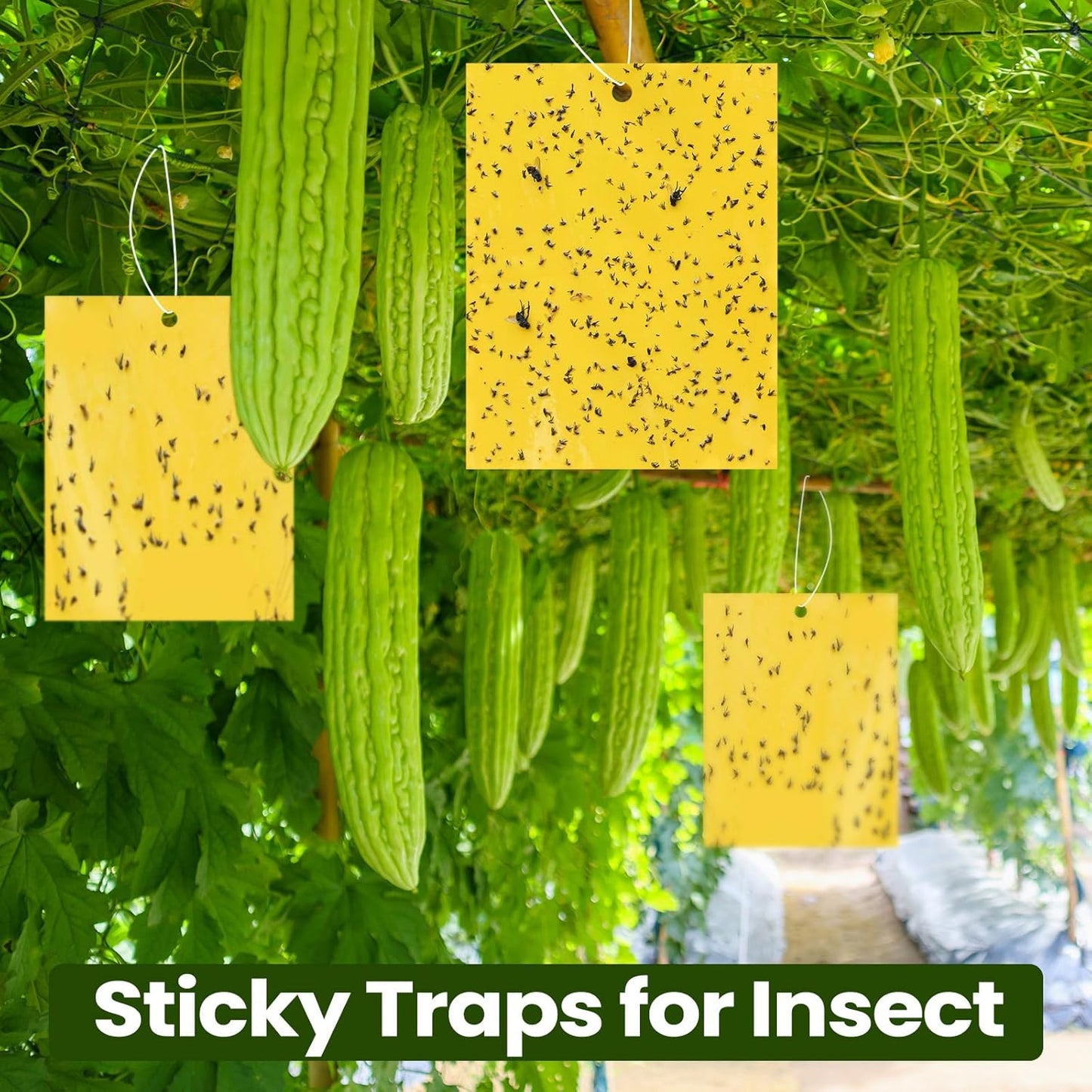 Qualirey 150 Pcs 6 x 8 Inch Sticky Traps for Plant Double Sided Sticky Trap for Gnats with Twist Ties Fly Traps for Fruit Insect Fungus Bugs Indoor Outdoor (Yellow)