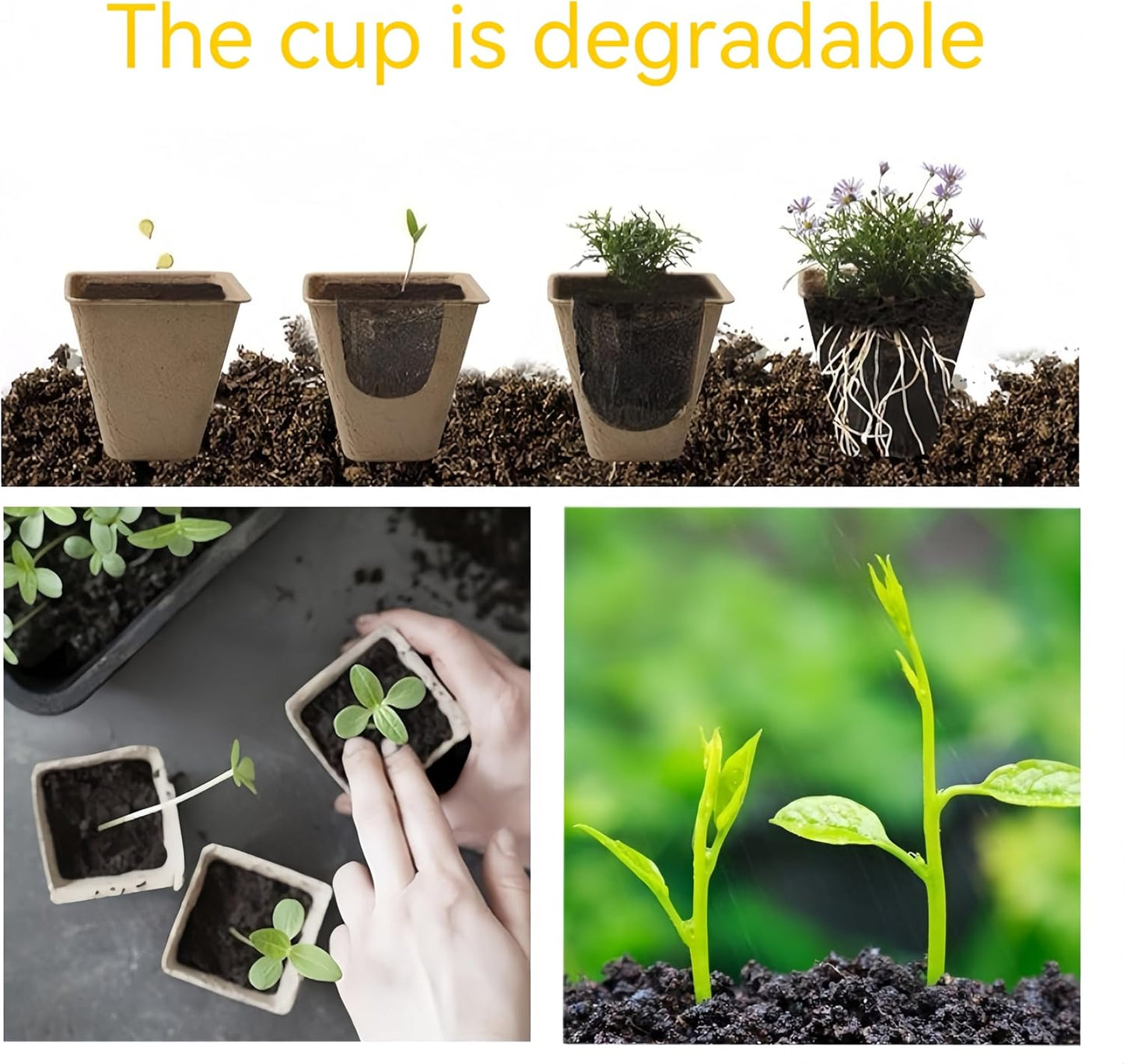 580 Cells Peat Pots Seed Starter Tray 58 Packs Biodegradable Seedling Pots Germination Trays Peat Pot for Seedling Organic Seed Starting Trays kit with 58 Labels 2 Transplant Tools