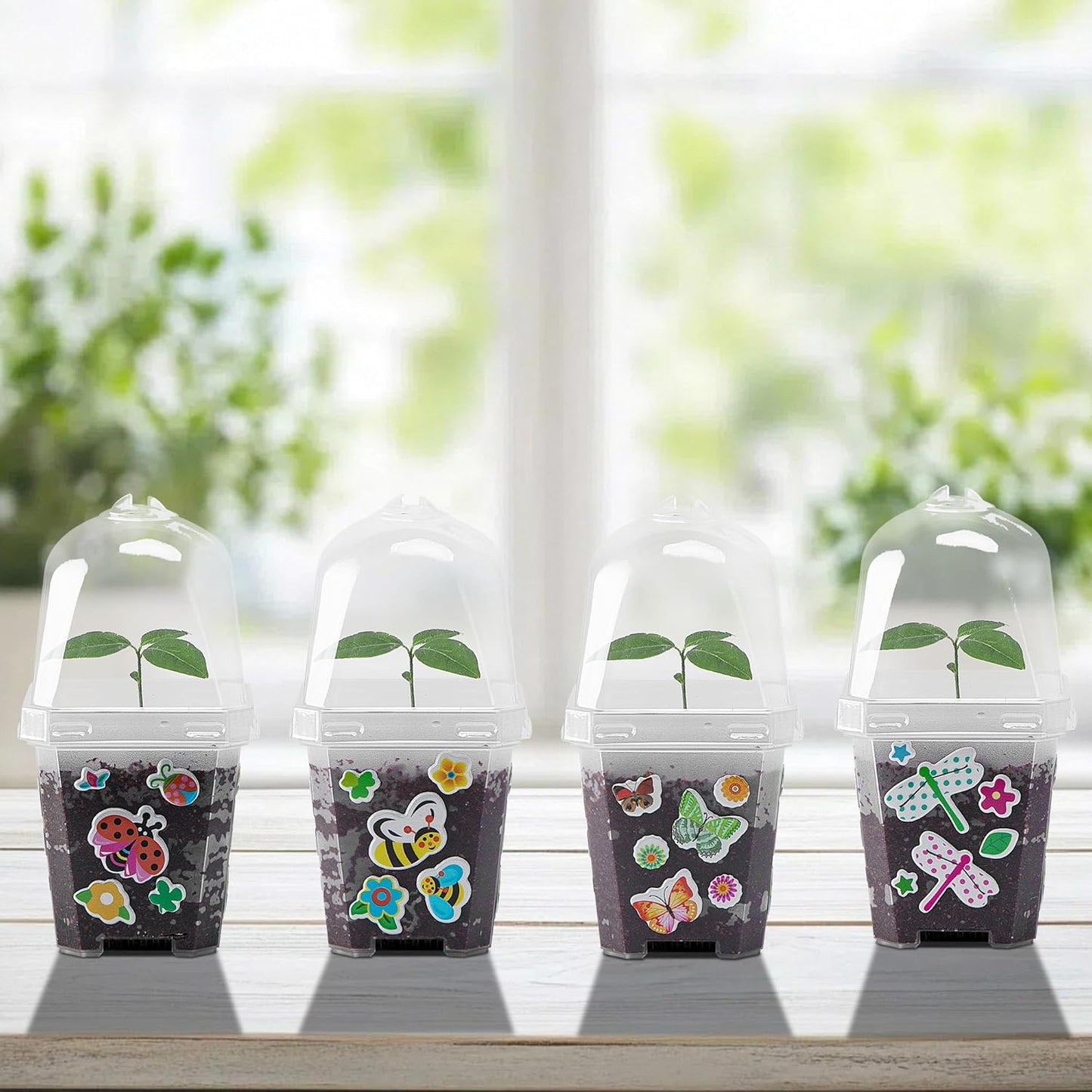 EBaokuup 10 Pcs Clear Plant Nursery Pots with Humidity Dome-3" Reusable Plastic Gardening Pot with Printed Labels-Small Seed Starting Pots for Seedlings,Vegetables,Succulents,Cuttings