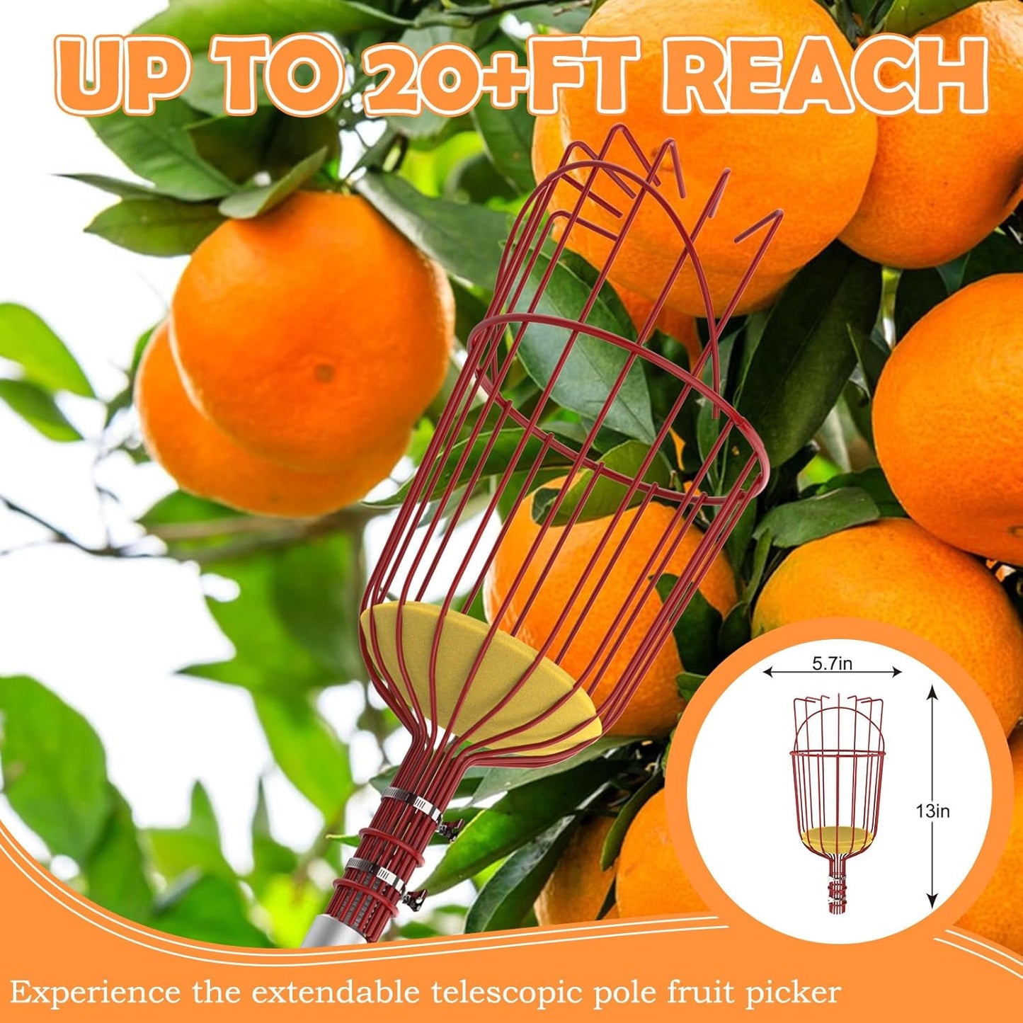 SISIUPASSIE 26FT Reach Fruit Picker, Apple Picker Pole with Basket Telescoping Tool for Apple Lemon Orange Mango Avocado Fruit Tree Picking