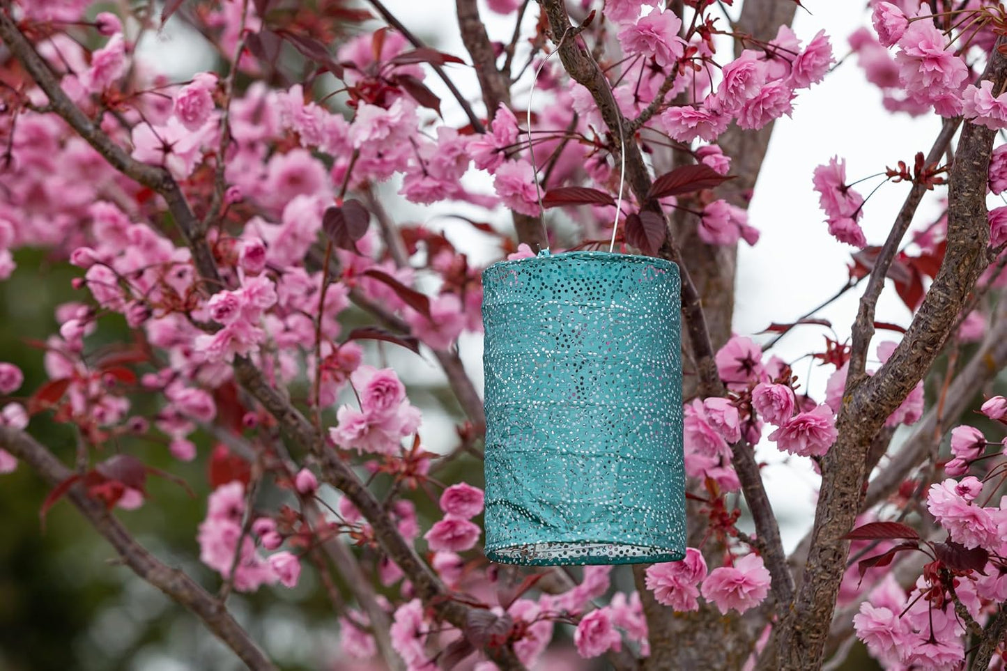 Allsop Soji Stella - Tin Art' Punched Luminaria - Cylinder - 7.5" - Outdoor Solar Latern - Metallic Emerald