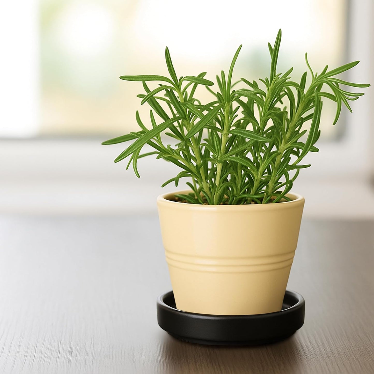 D'vine Dev Modern Round 3.7 Inch Ceramic Plant Pot Saucer, Planter Pot Drainage Tray for Indoor Plants, Set of 4, Matte Black, 97-T-B-11