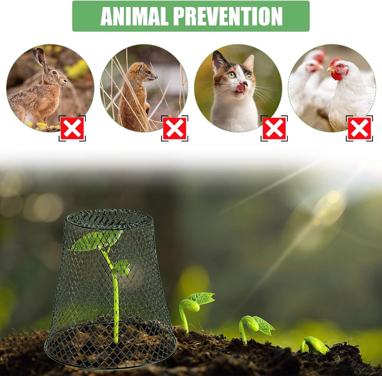 20 Pcs 9×9inch Chicken Wire Plant Covers Wire Garden Cloches Chicken Wire Cloche Plant Protector Metal Heavy Duty Garden Plant Cloche for Keeping Bunnies Chicken Squirrels Birds Other Out