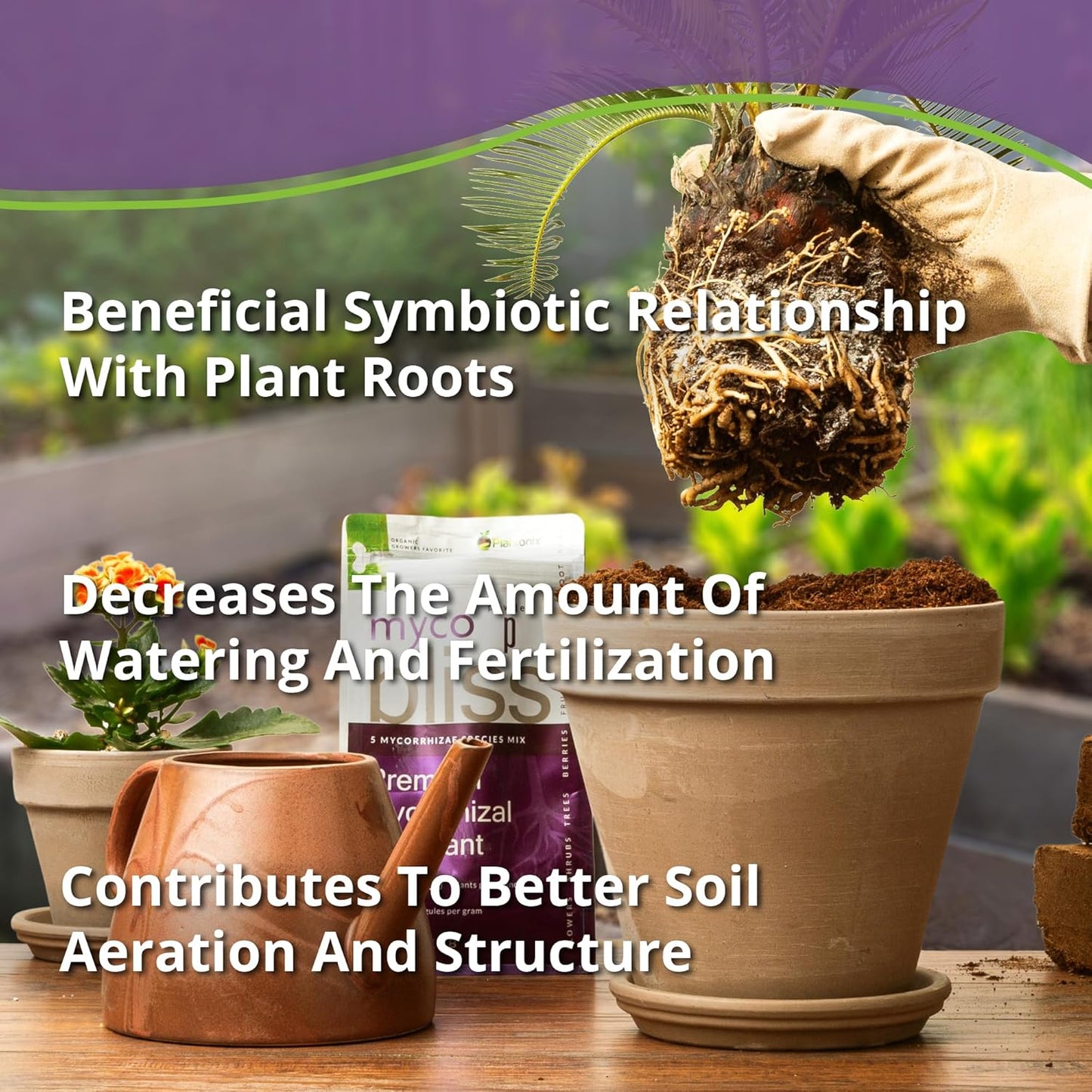 Myco Bliss Granular (1lb) - Mycorrhizal Fungi for Plants - 5 Strain Mycorrhizal Inoculant with 1000 Propagules Per Gram - Highly Concentrated Mycorrhizae for Plants, Potting Soil, & Garden Soil