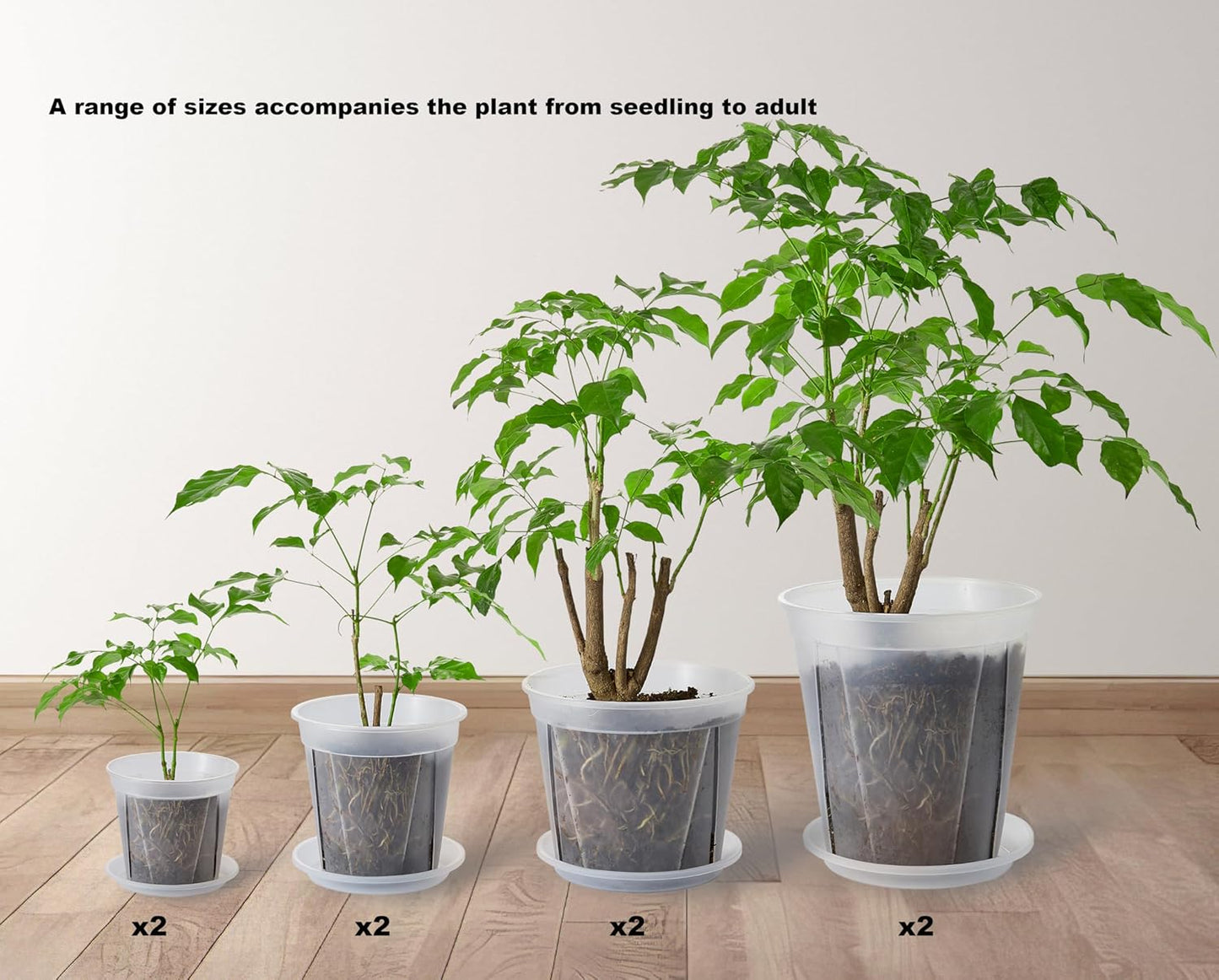 Large Clear pots for Plants, 8 pcs 5/6/7/8 inch Thick Plastic Nursery pots for Plants with Drainage Holes for Monstera Plant Live,Succulents etc - Indoor and Outdoor use