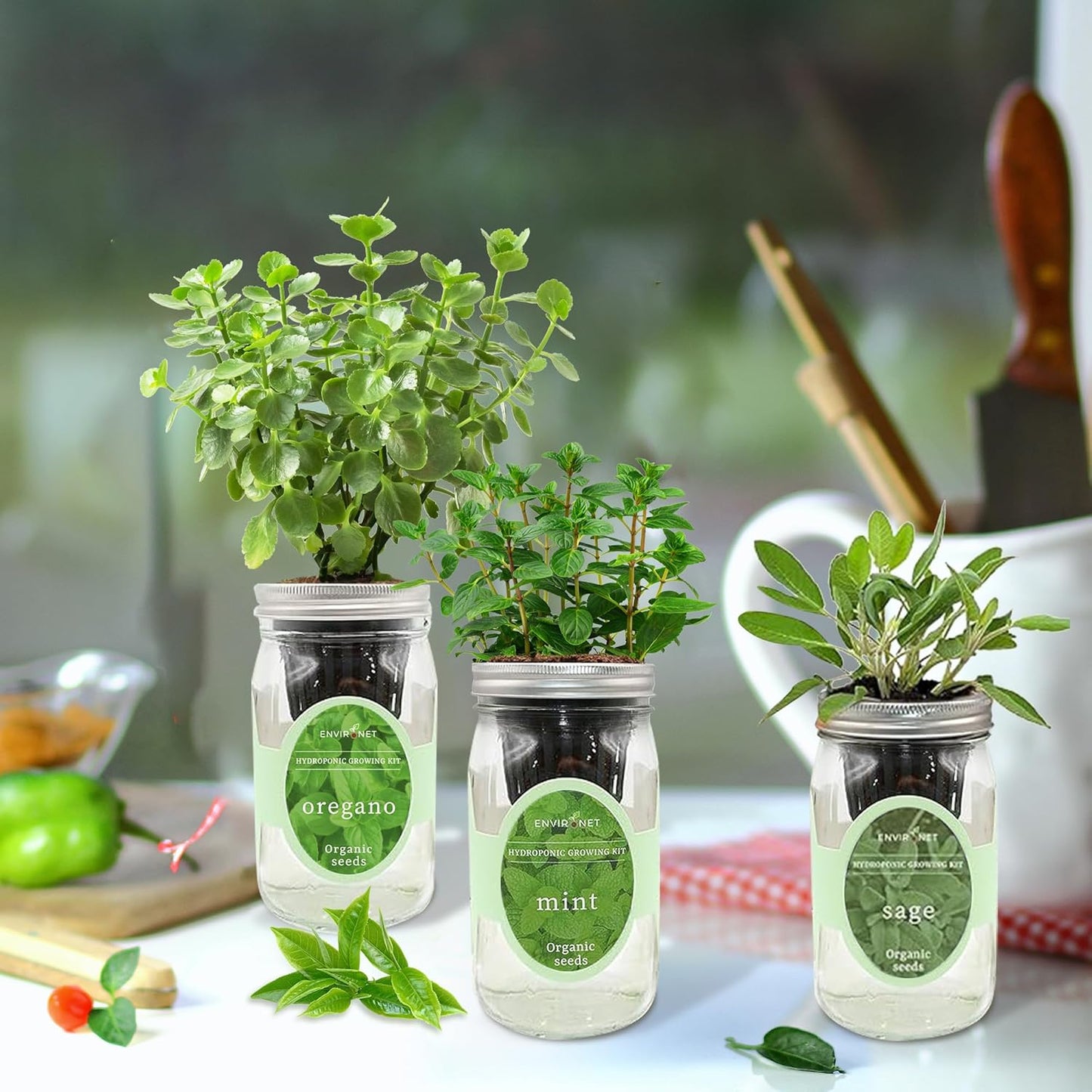 Hydroponic Herb Growing Kit Set, Self-Watering Mason Jar Herb Garden Starter Kit Indoor, Windowsill Herbs Garden. Grow Your Own Herbs from Organic Seeds (Mint, Sage, Oregano)