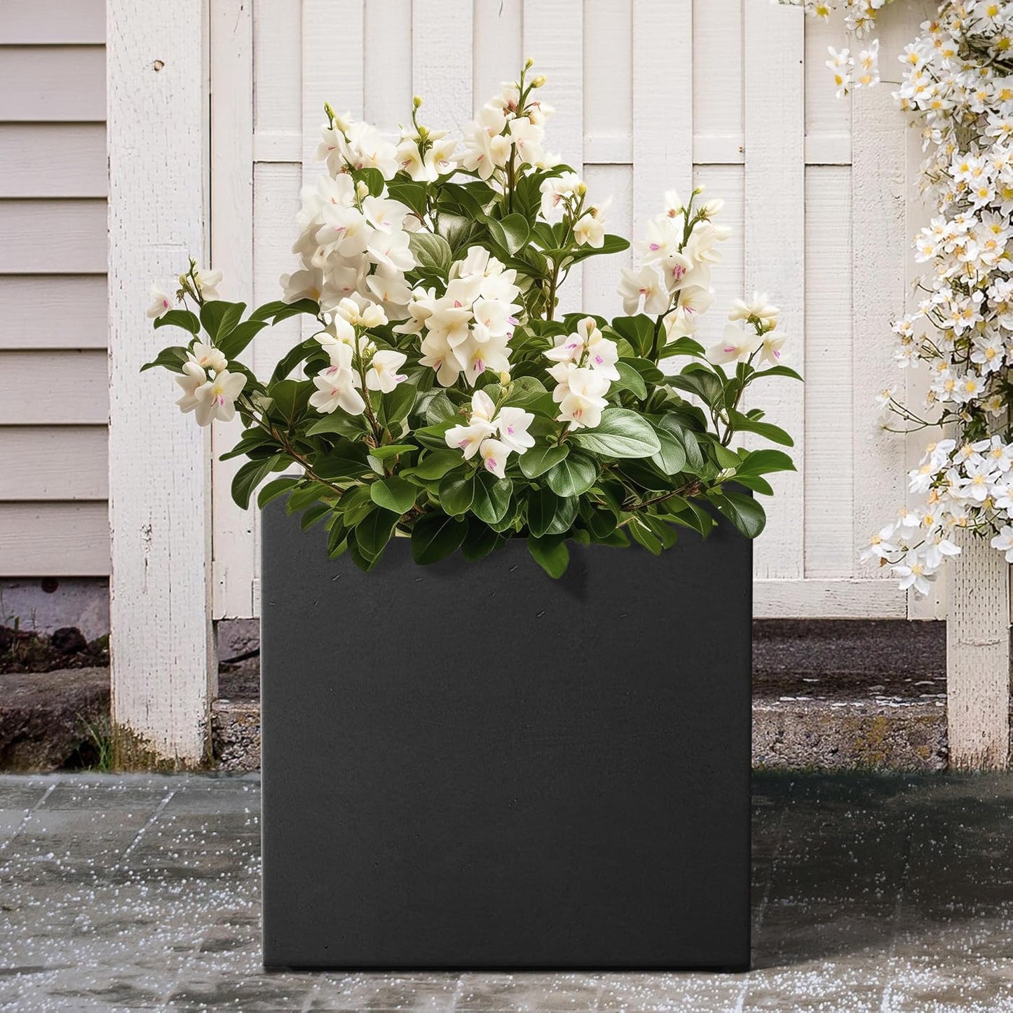 Kante 12 Inch Square Concrete Planter for Outdoor Indoor Home Patio Garden, Large Plant Pot with Drainage Hole and Rubber Plug, Black