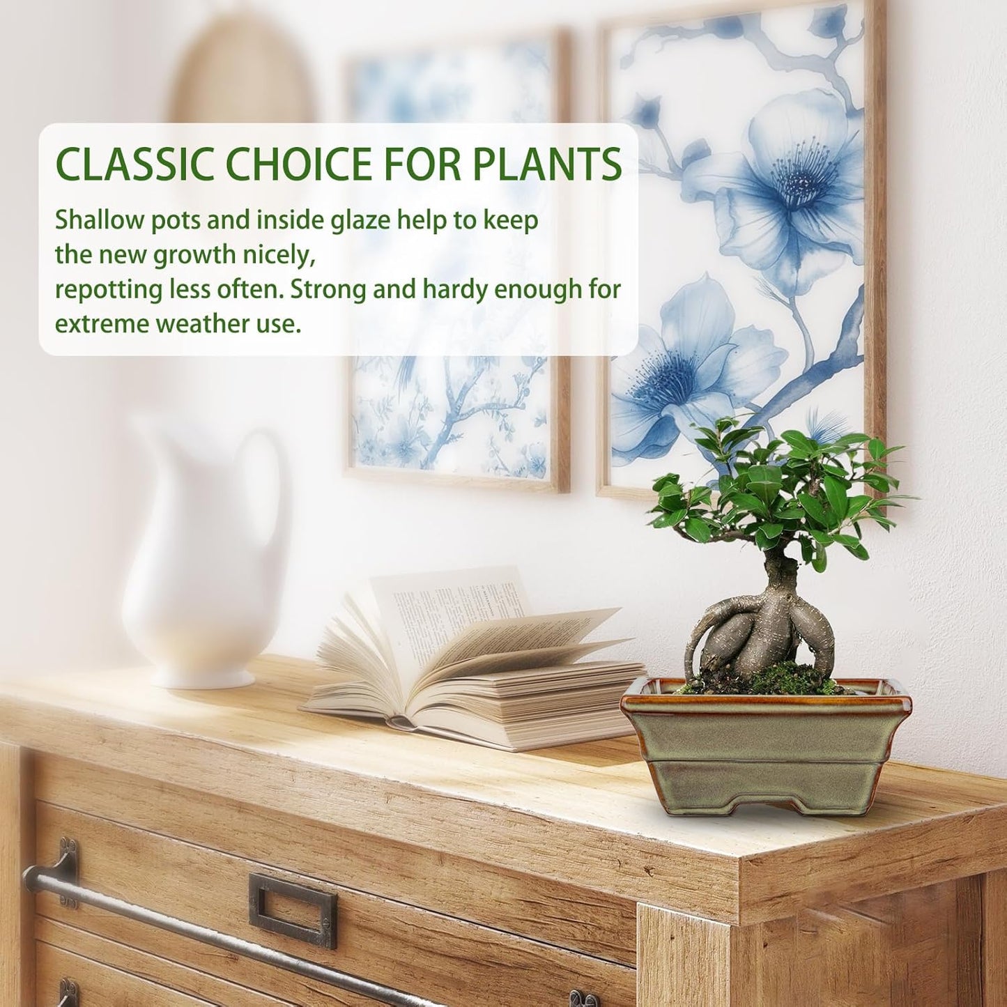 Ceramic Bonsai Pots with Drainage Hole, Set of 2 Rectangular Glazed Bonsai Planters for Indoor/Outdoor Use, Shallow Brown Bonzai Tree Pots for Succulent, Orchids, Cacti, Home, Patio, Garden, 6.3"x4.9"