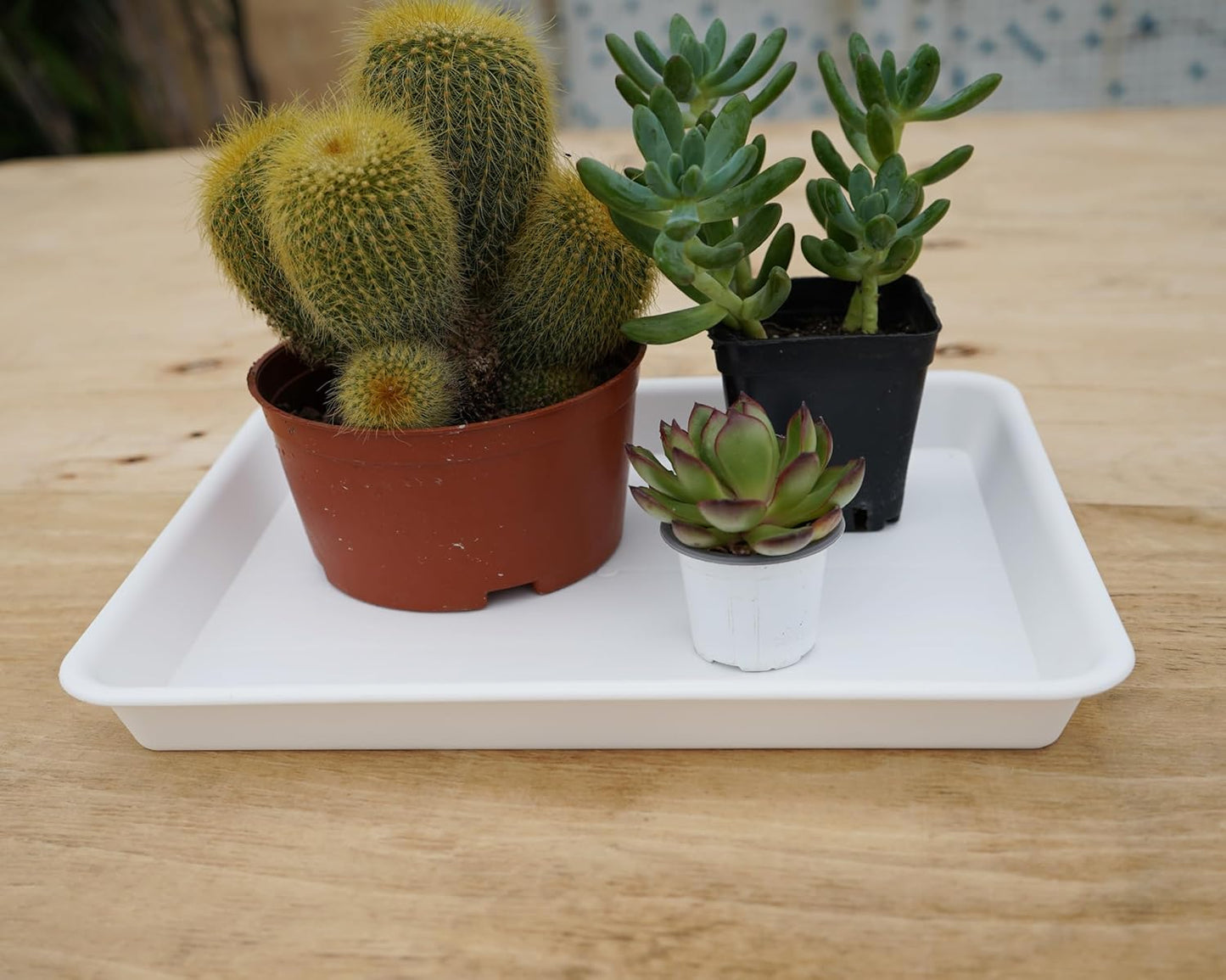 4 Pack Plant Saucer Tray Rectangular, Plant Saucers for Indoors, Heavy Sturdy Plastic Plant Drainage Trays, Plant Drip Trays for Pots, Seed Starter Growing Tray (11 x 9, Creamy White)