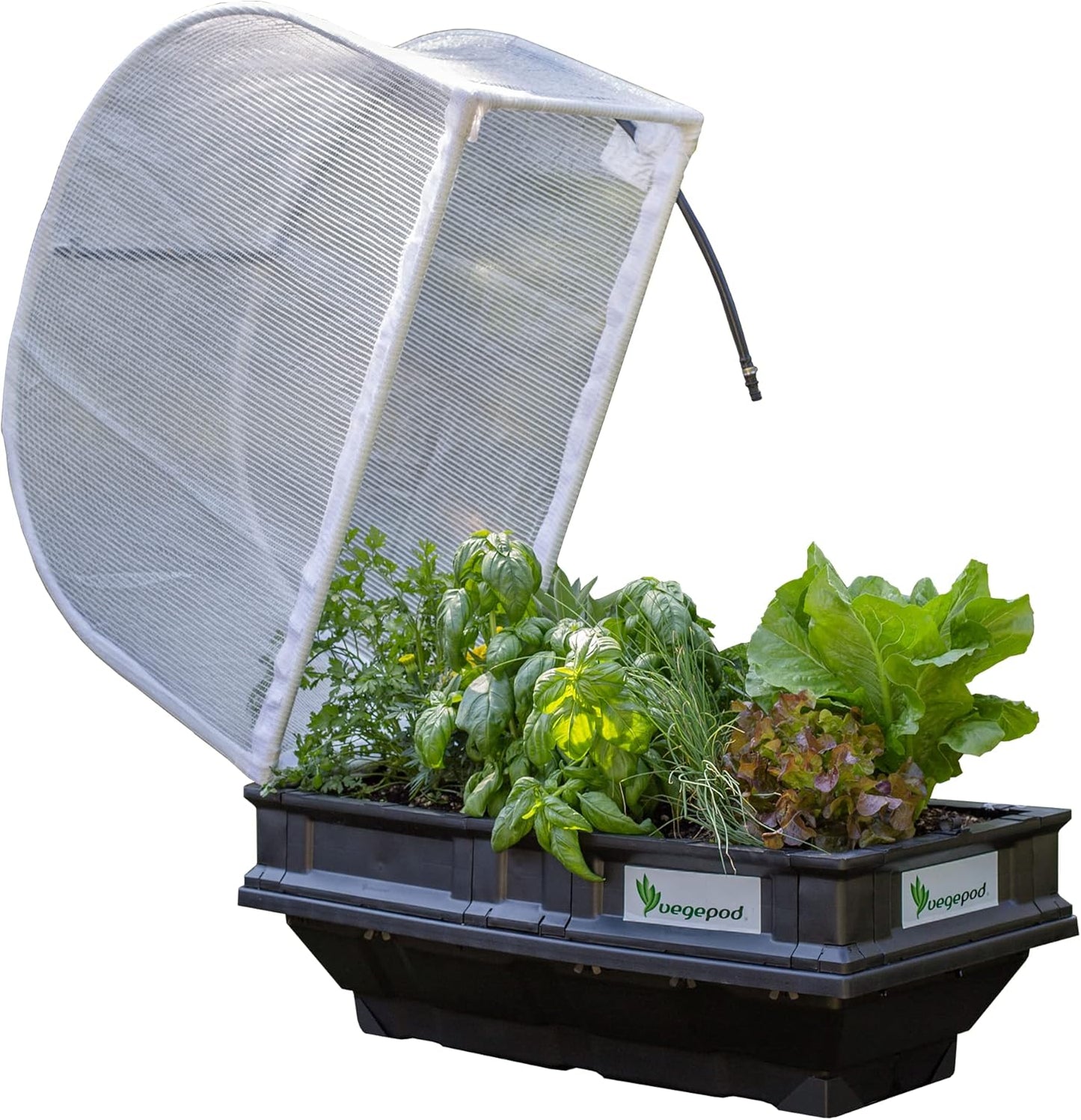 Vegepod - Raised Garden Bed - Self Watering Container Garden Kit with Protective Cover, Easily Elevated to Waist Height, 10 Years Warranty (Small)