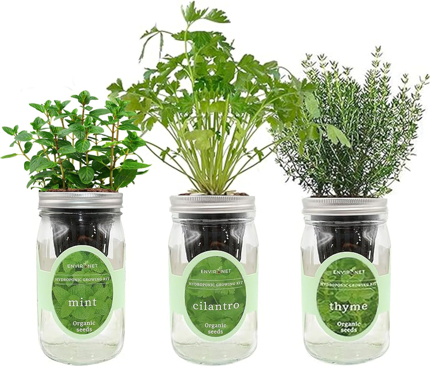 Hydroponic Growing Kit Set, Self-Watering Mason Jar Herb Garden Starter Kit Indoor, Window Herb Garden, Grow Your Own Herbs from Organic Seeds (Mint, Cilantro and Thyme)