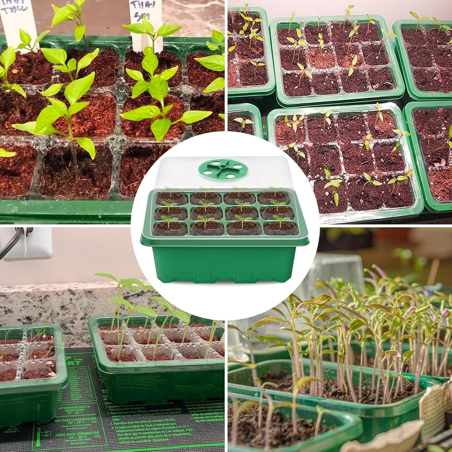 Halatool 4 Pack Seed Starter Tray with 50 PCS Peat Pellets, 48 Cells Green Seeding Starter Trays for Organic Seed Stater Soil Pods for Planting Vegetables Plants Flowers - Starting Seeds Kit