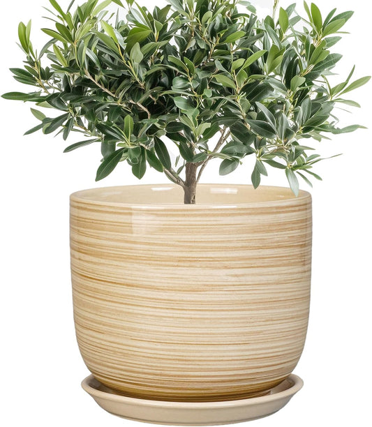 Indoor Plant Pot 8 Inch - Cylinder Modern Ceramic Planter for Indoor Outdoor Plants with Drainage Hole and Saucer, House Office Home Room Desk Decor, Yellow