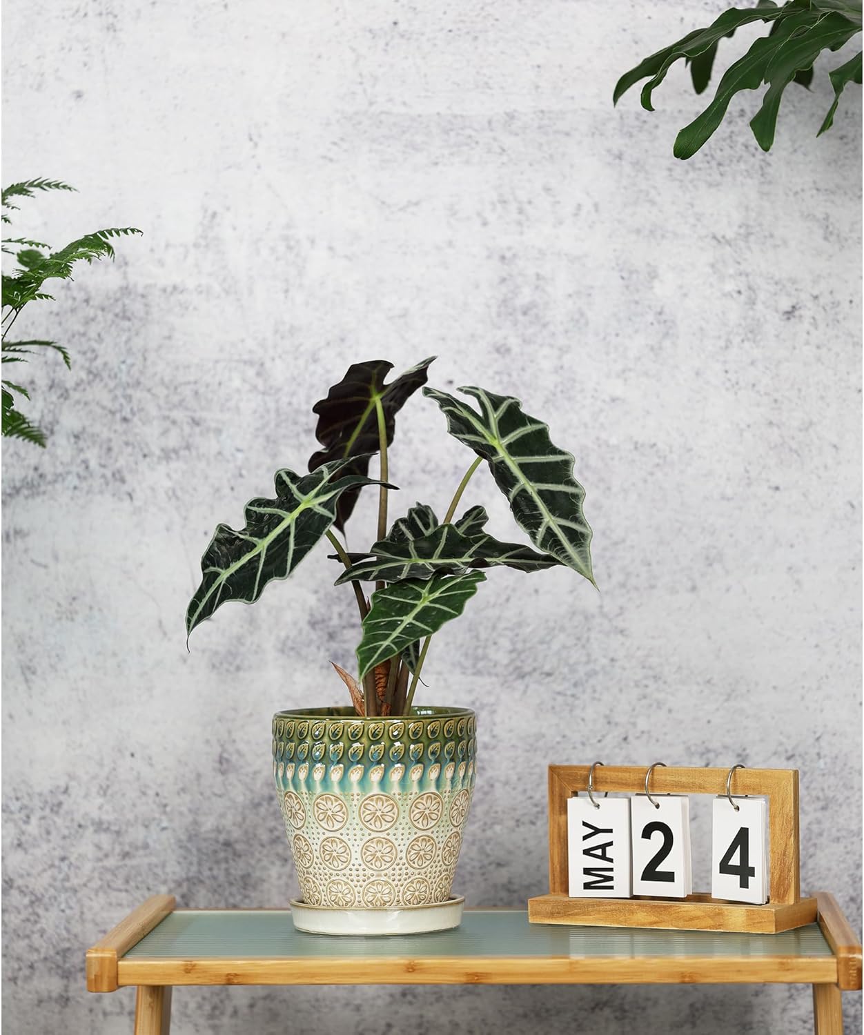 6 Inch + 5 Inch Ceramic Planter with Drainage Hole and Saucer for Plants, Indoor-Outdoor Round Succulent Orchid Garden Flower Pot - Set of 2