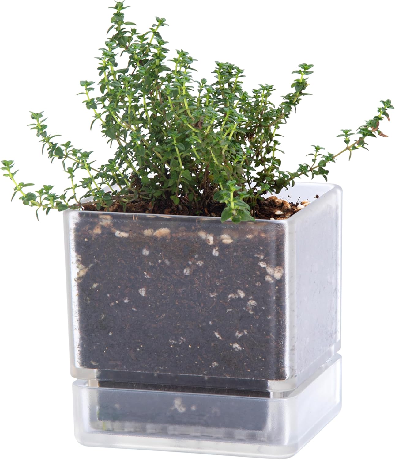 4 Inch Herb Planter Pot, Plastic Planter with Drainage Holes and Saucer, Modern Decorative Gardening Pot for Indoor Plants, Flowers, Herbs, Succulents, Clear, Set of 1, 76-Y-D-1