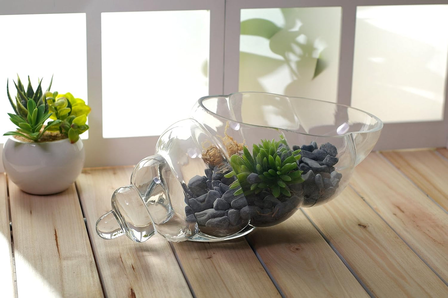 Hosley Glass Shell Vase 8 Inches Long Ideal Gift for Weddings Spa Aromatherapy Floral Arrangements Bowl for Orbs DIY Craft Projects LED Votive Candle Gardens O9