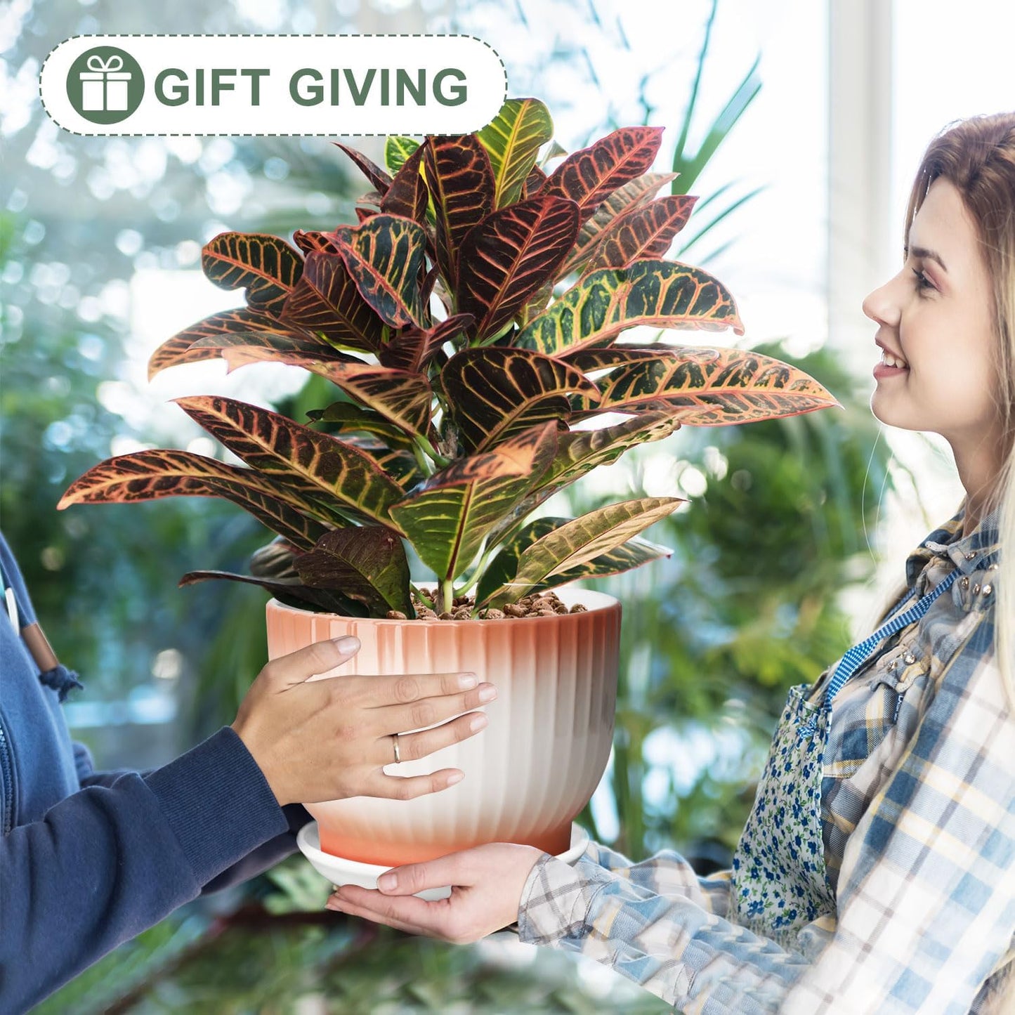 8 Inch Plant Pot, Ceramic Planter with Drainage and Saucer, Ceramic Pots for Plants, Indoor Plant pots,Ceramic Flower pots(Orange+ White, Plants NOT Included)